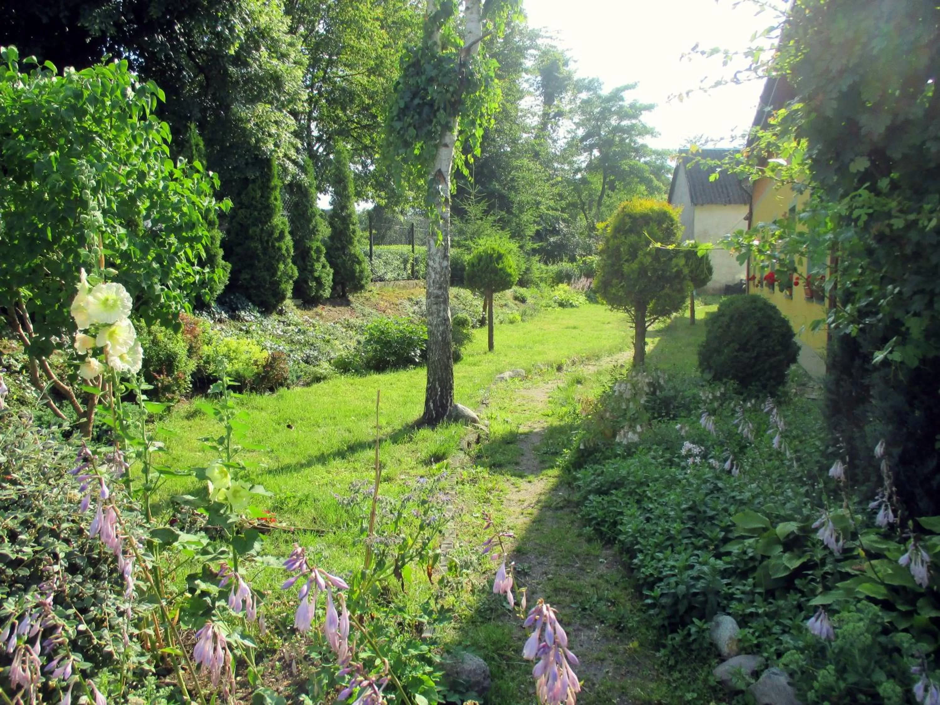 Summer in Gościniec pod Kłosem
