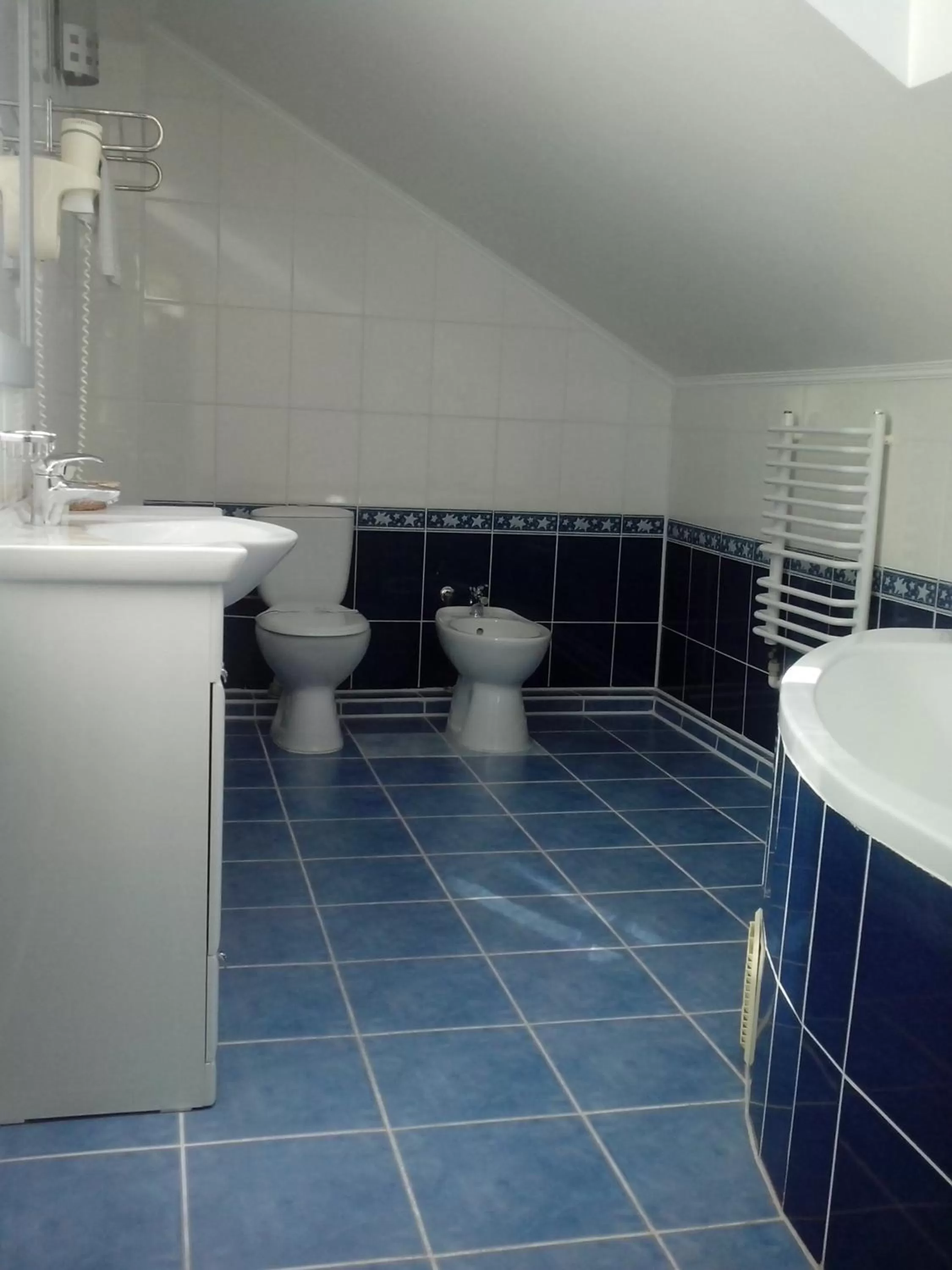 Toilet in Morshynska Vezha Hotel