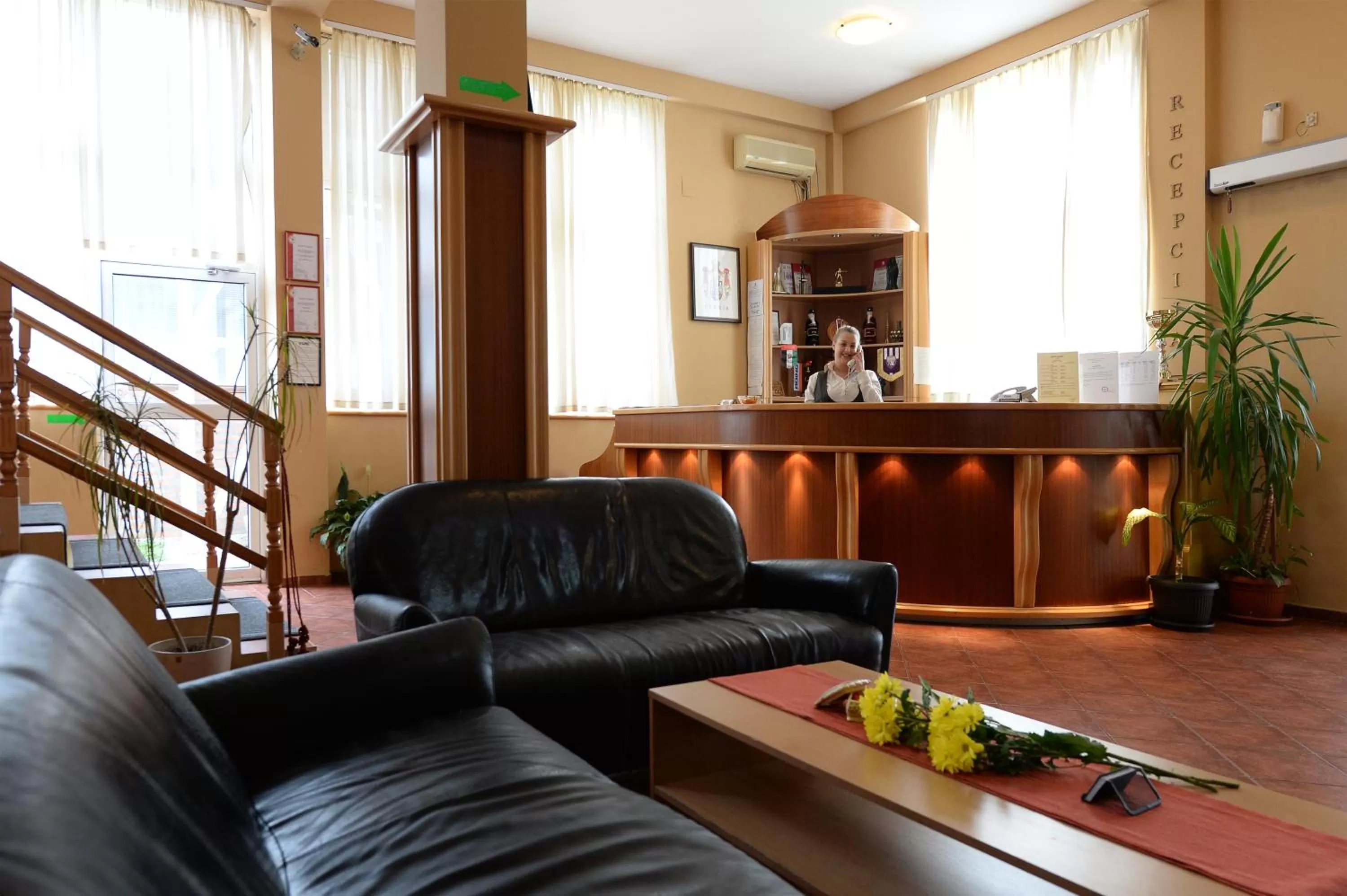 Lobby or reception in Hotel Slodes