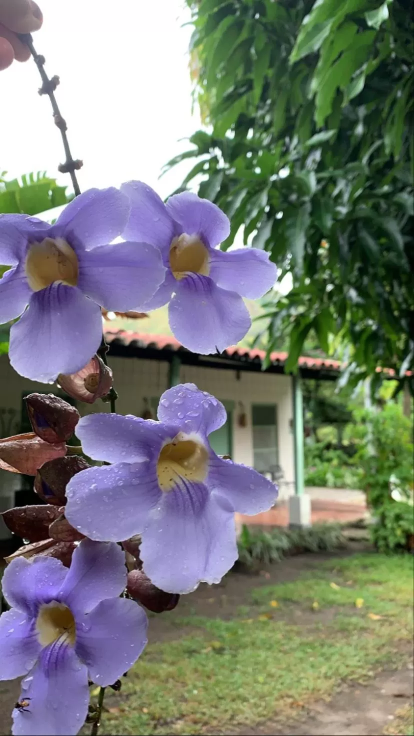 Area and facilities in Waka Hotel Rural
