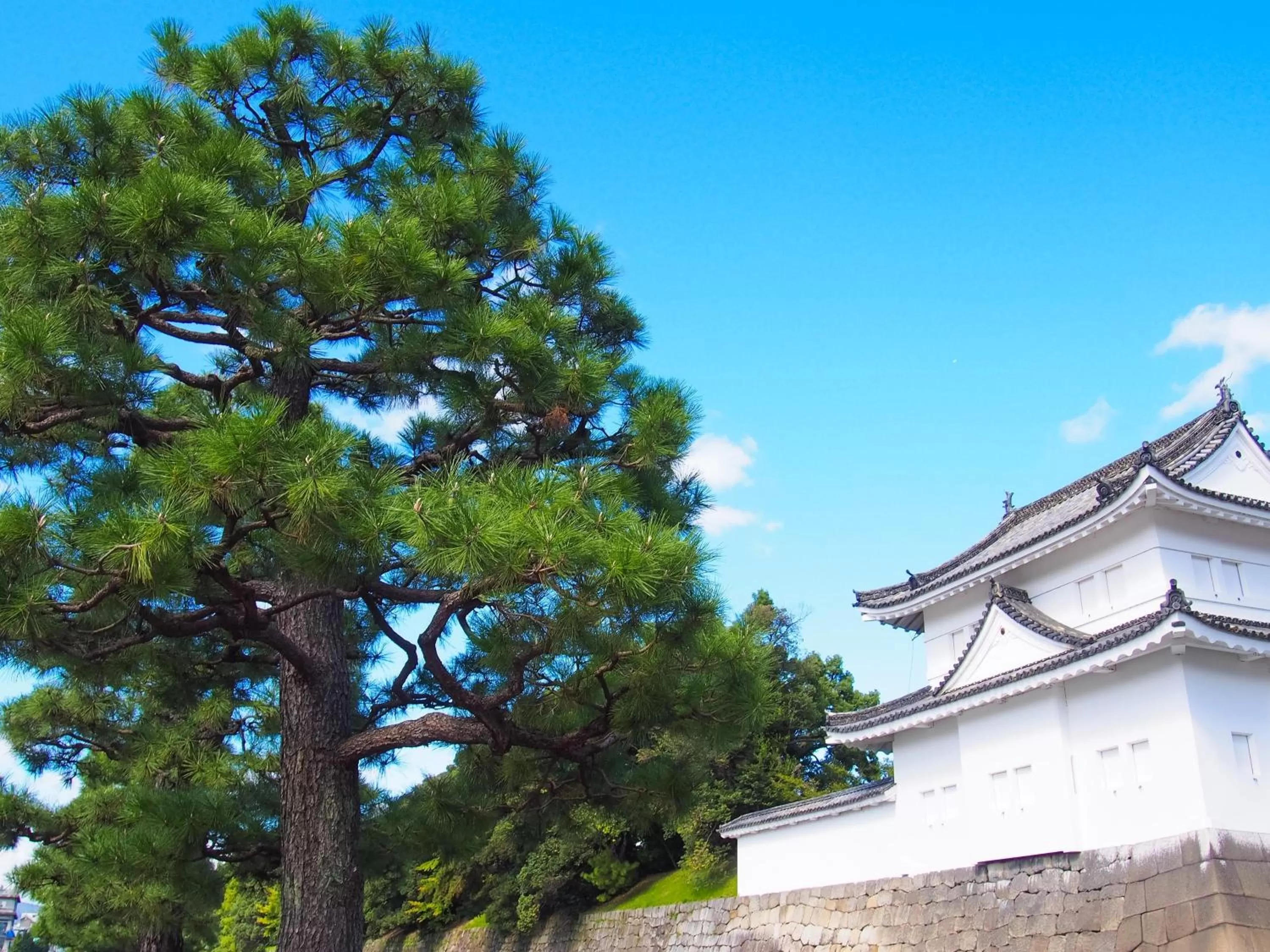 Nearby landmark in Hotel Wing International Kyoto - Shijo Karasuma