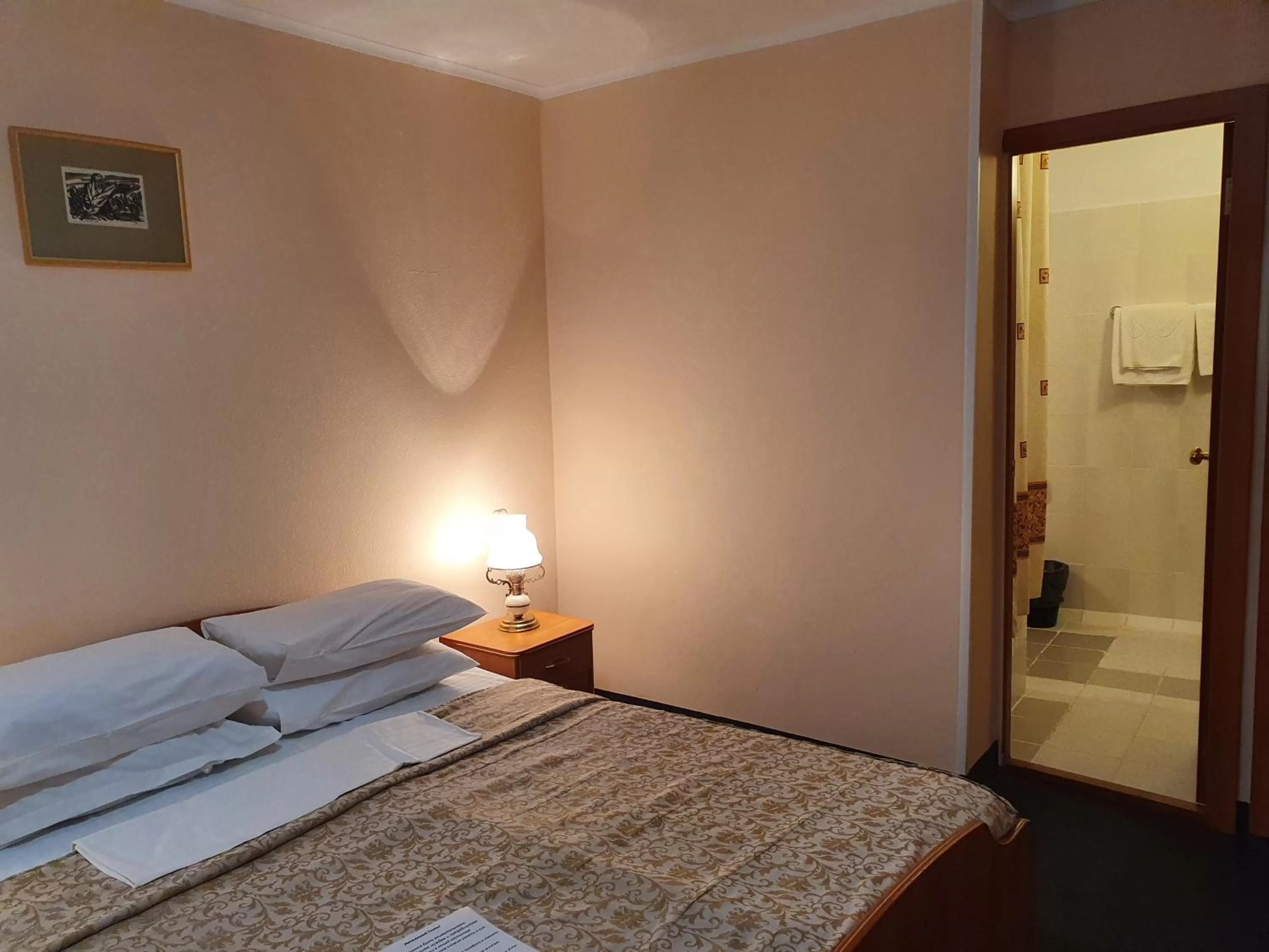 Photo of the whole room, Bed in Aktobe Hotel