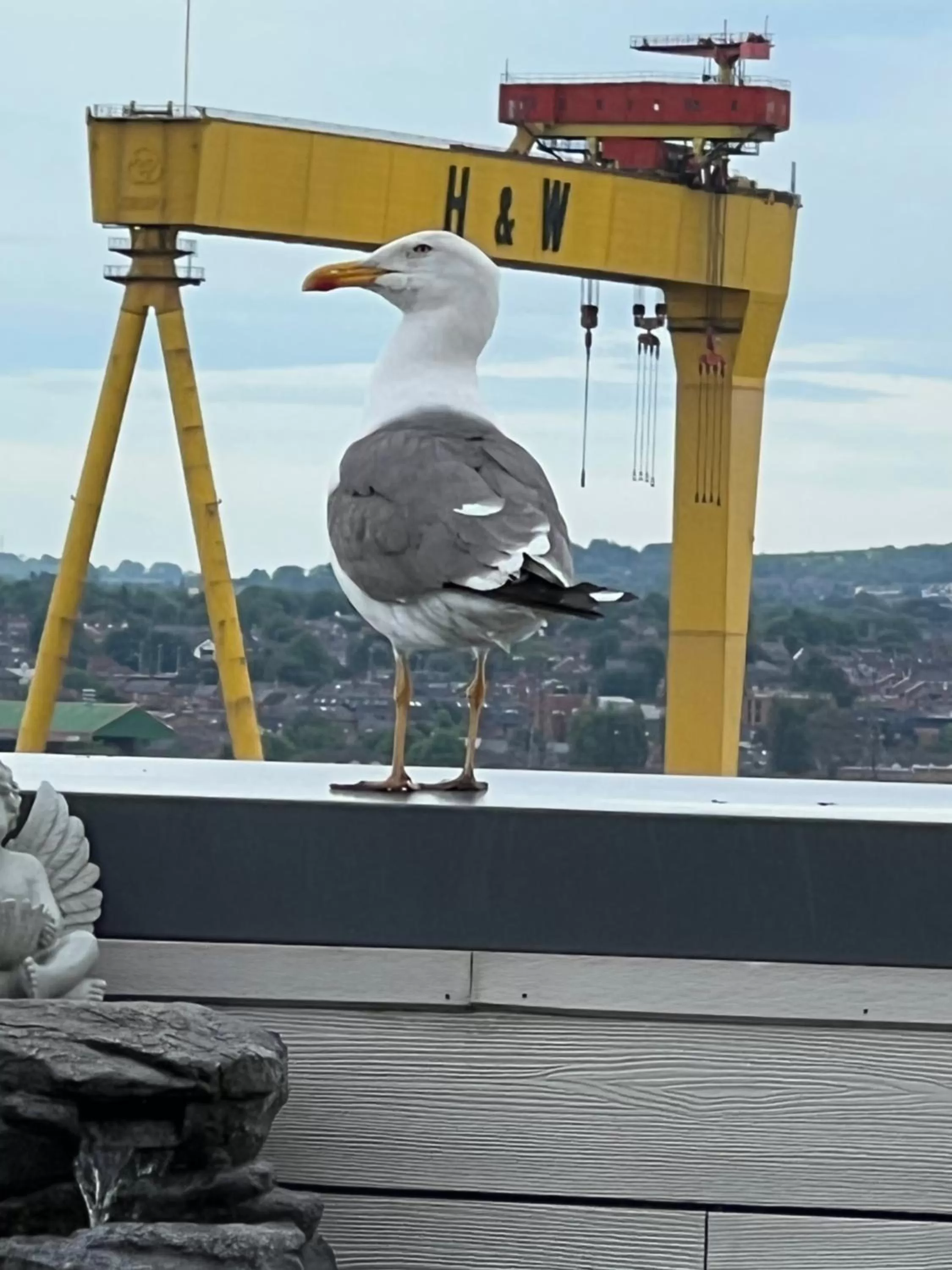 Other Animals in James Clow Bed & Breakfast