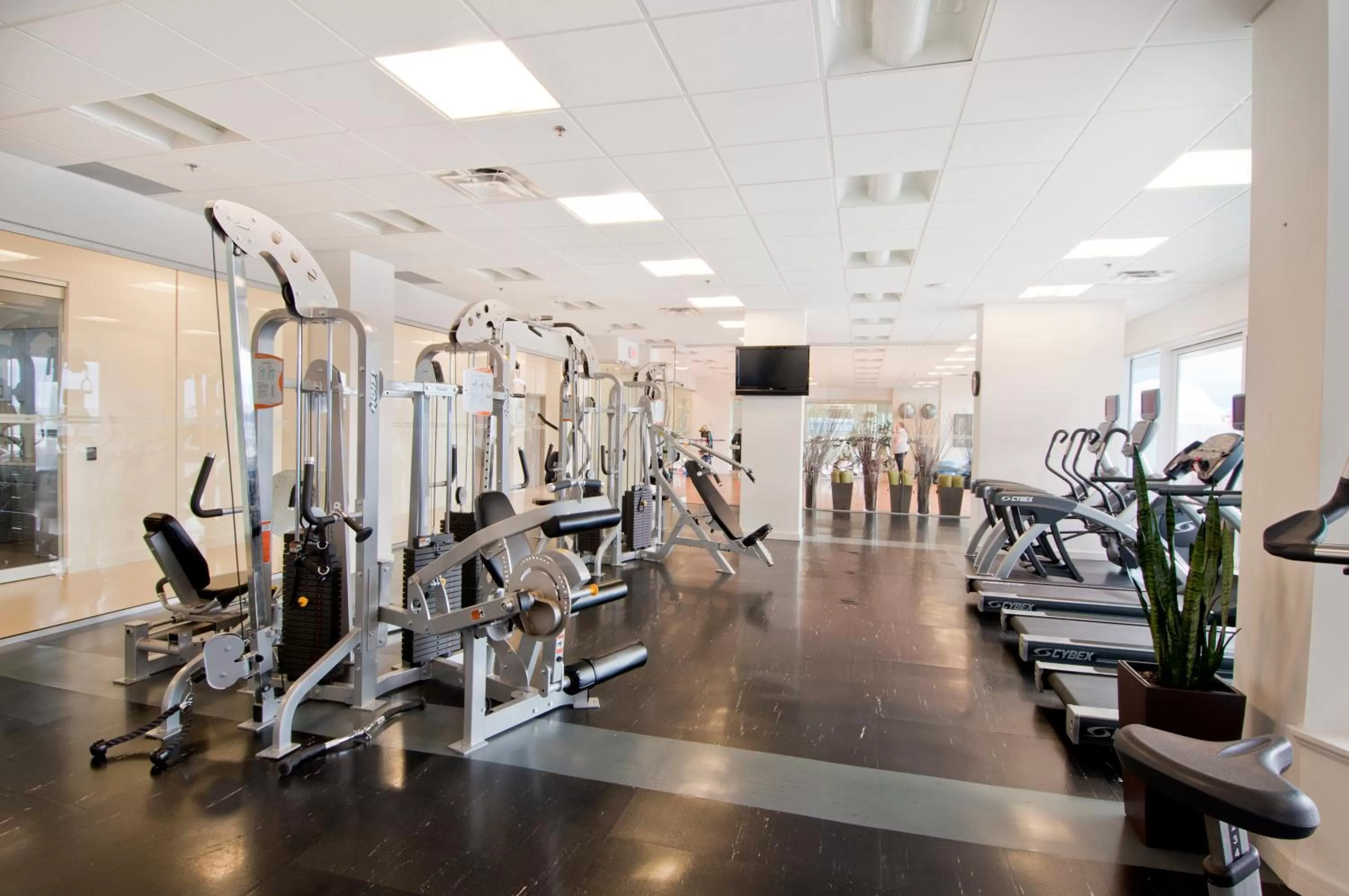 Fitness centre/facilities in Pinnacle Hotel at the Pier