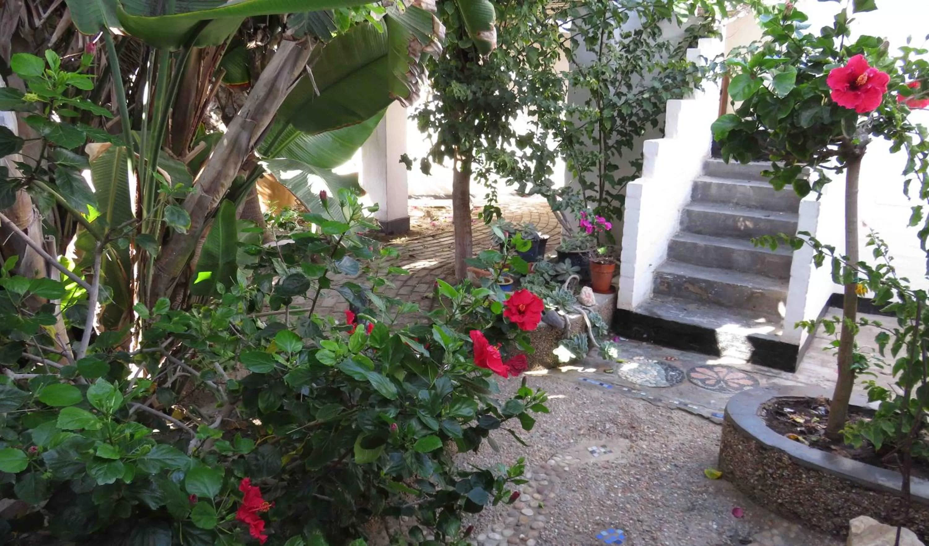 Garden in Alternative Space B & B