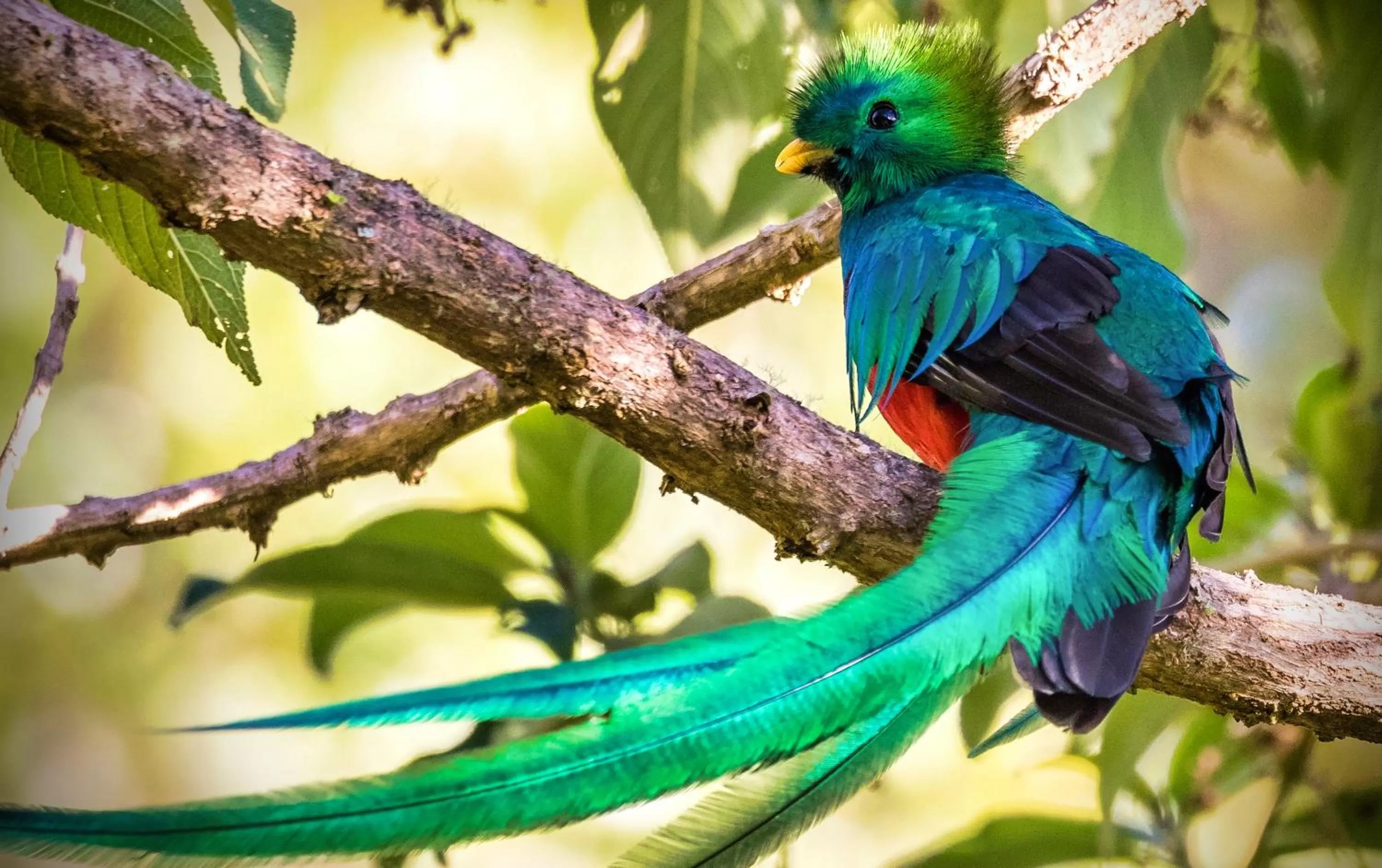 Off site in Boquete Garden Inn