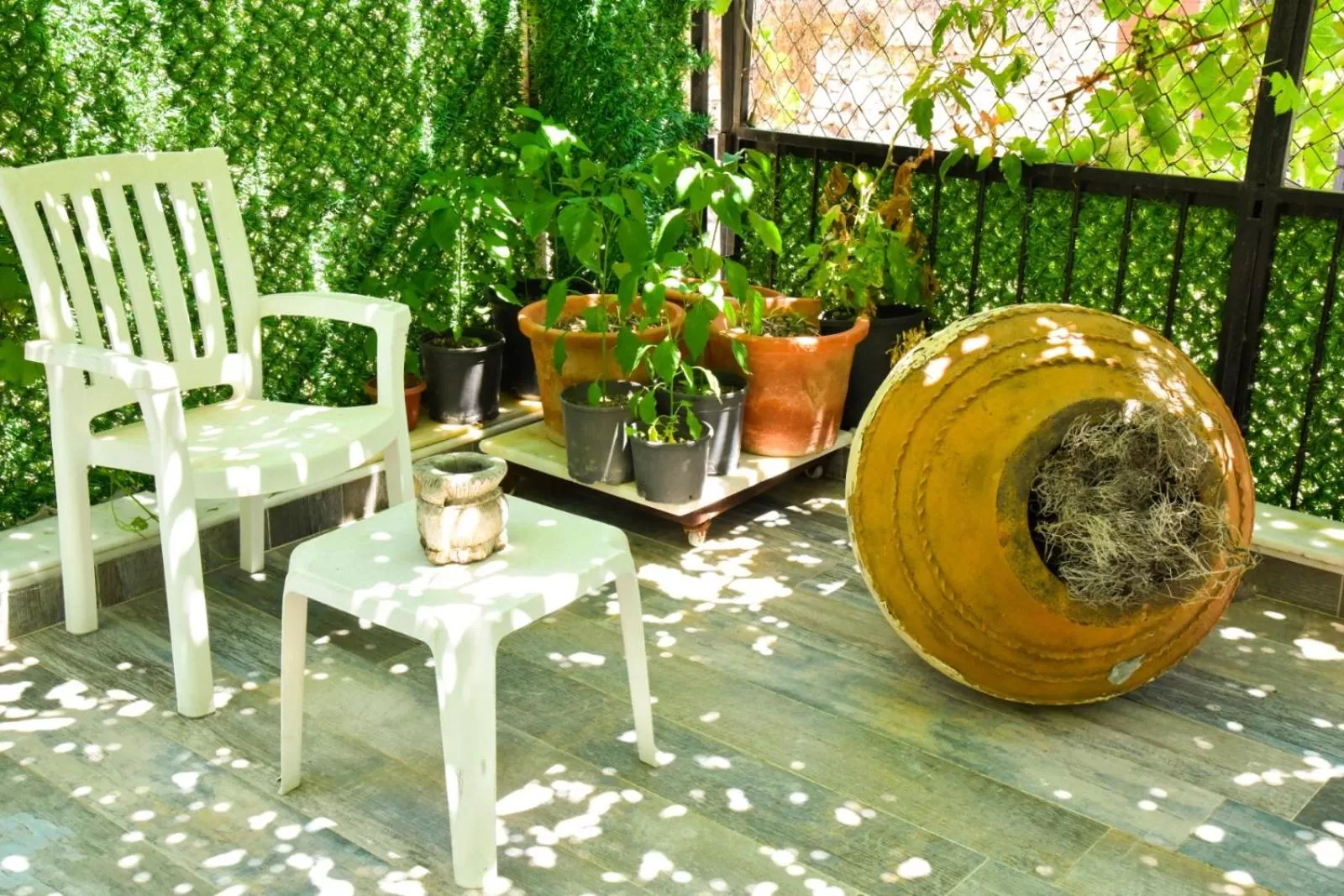 Breakfast in Balim Sultany