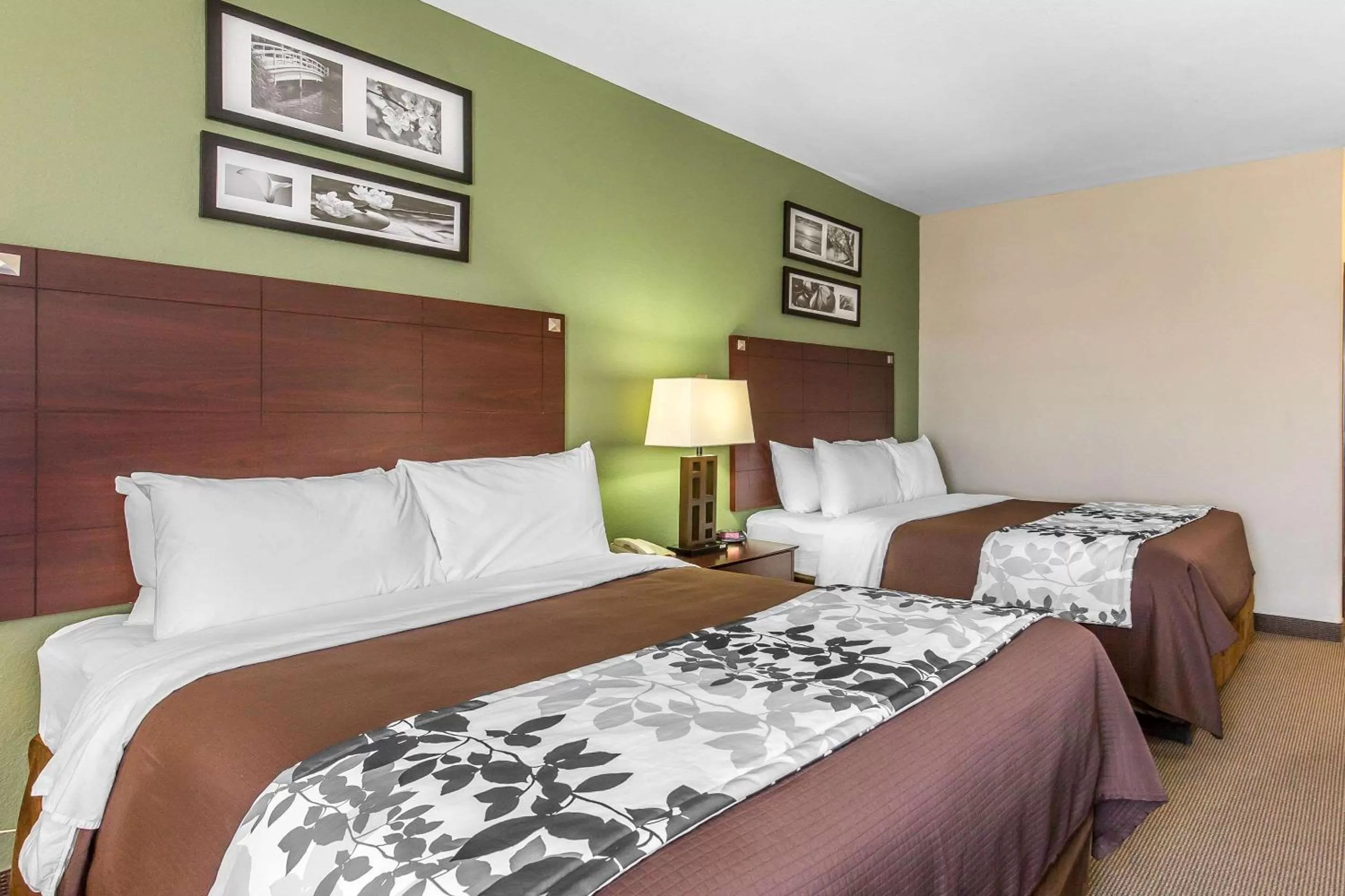 Standard Queen Room with Two Queen Beds - Non Smoking in Sleep Inn & Suites Bush Intercontinental - IAH East
