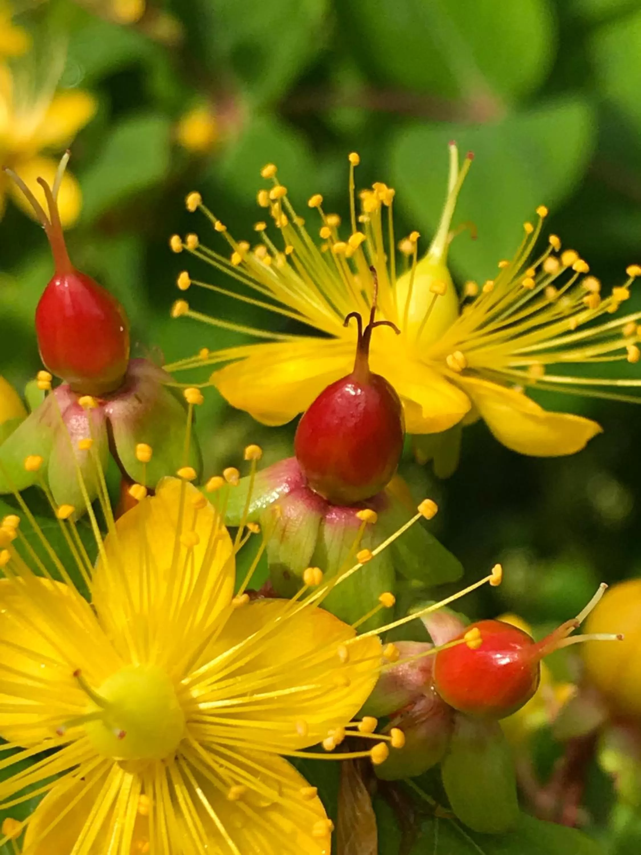 Spring in Bed and Breakfast Bavaria München