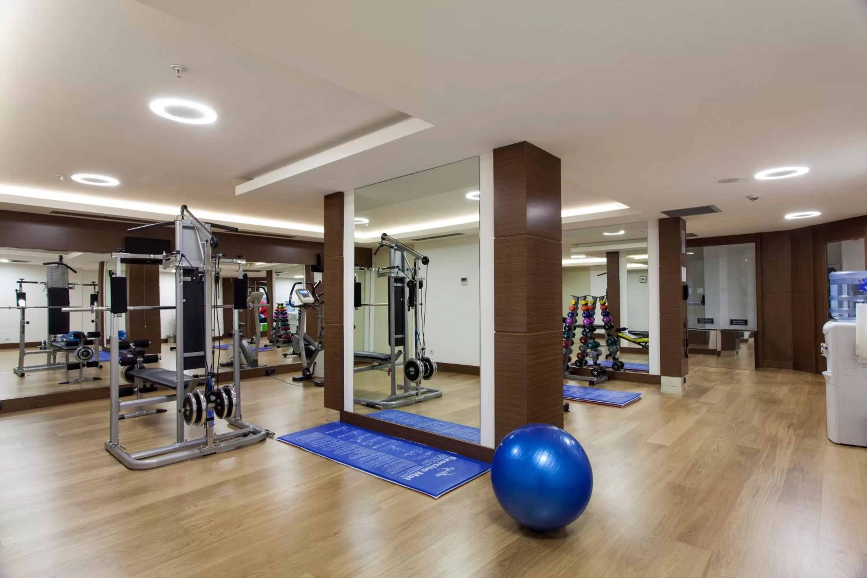 Fitness centre/facilities in Holiday Inn Ankara-Kavaklidere by IHG
