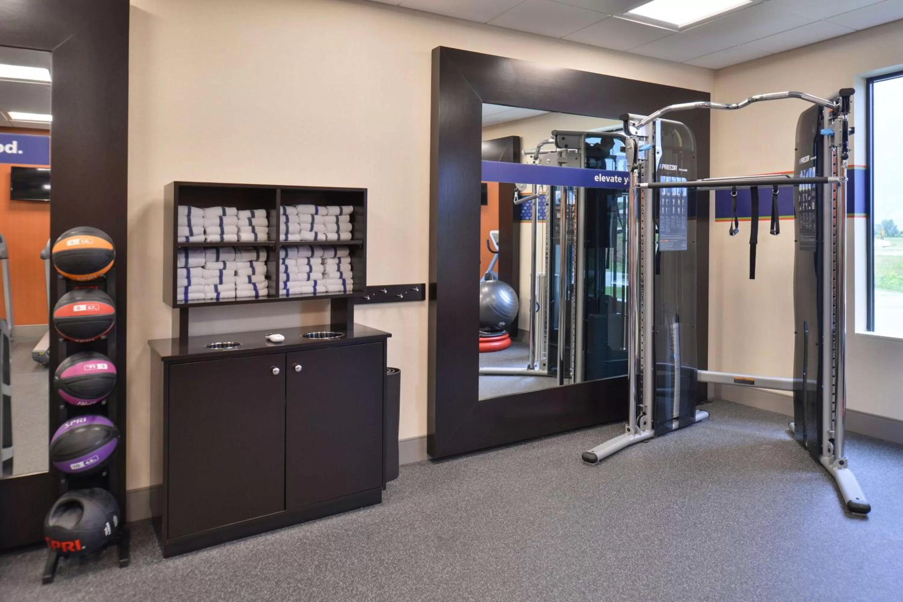 Fitness centre/facilities in Hampton Inn and Suites Ames, IA