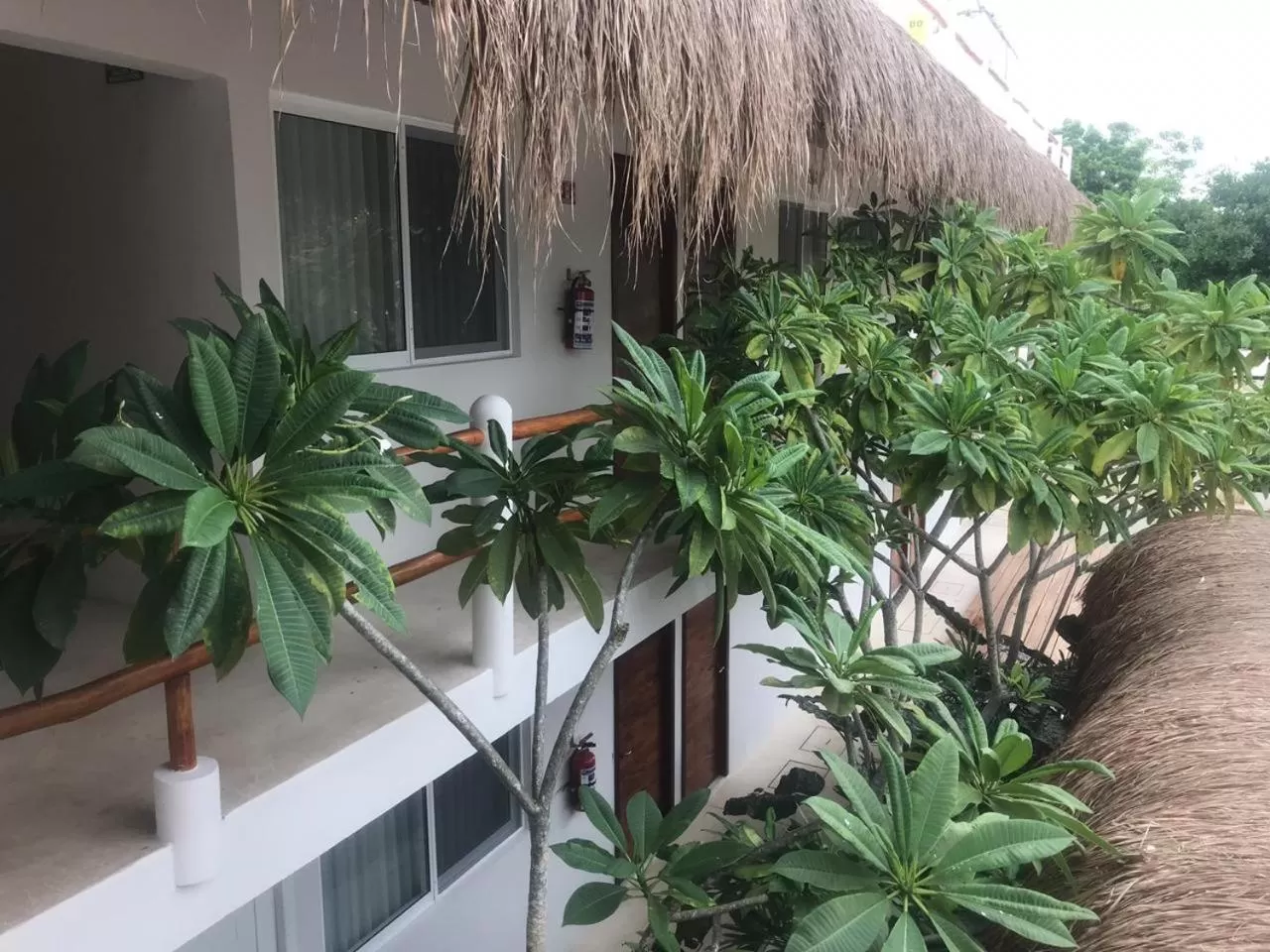 Property building in AGAM Hotel Boutique Bacalar - Adults Only