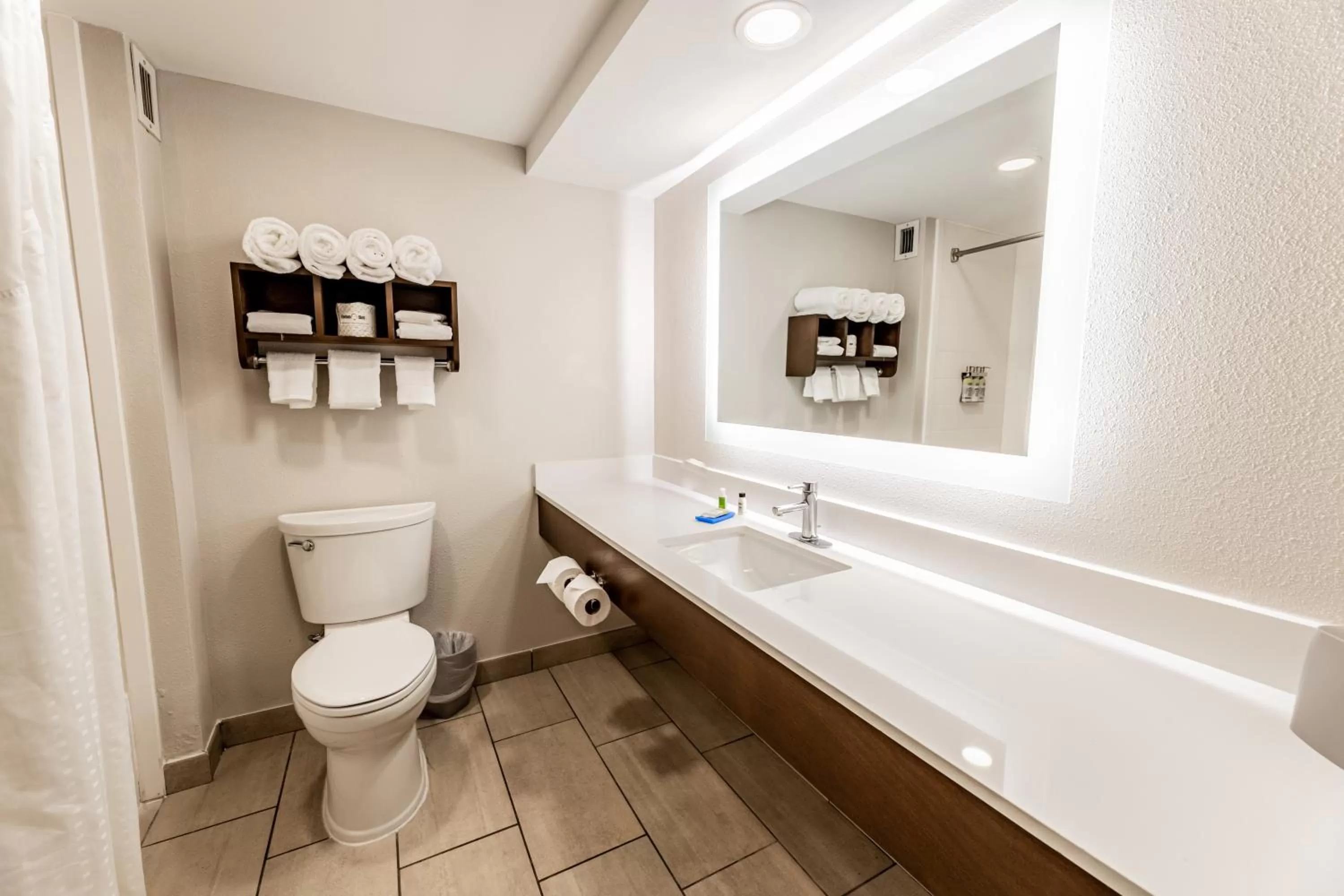 Bathroom in Holiday Inn Express Indianapolis South by IHG