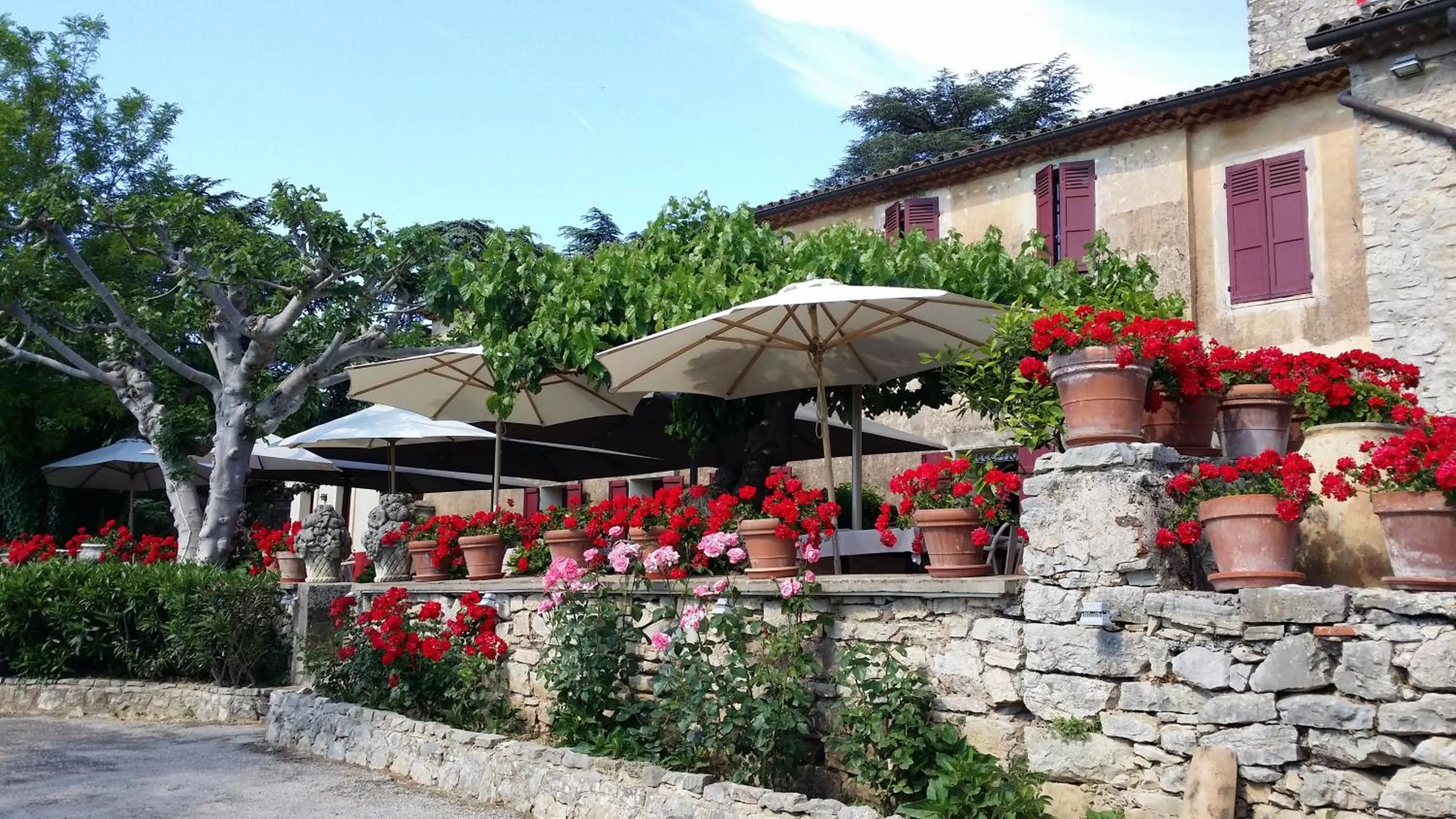 Restaurant/places to eat in Domaine du Lac - Teritoria