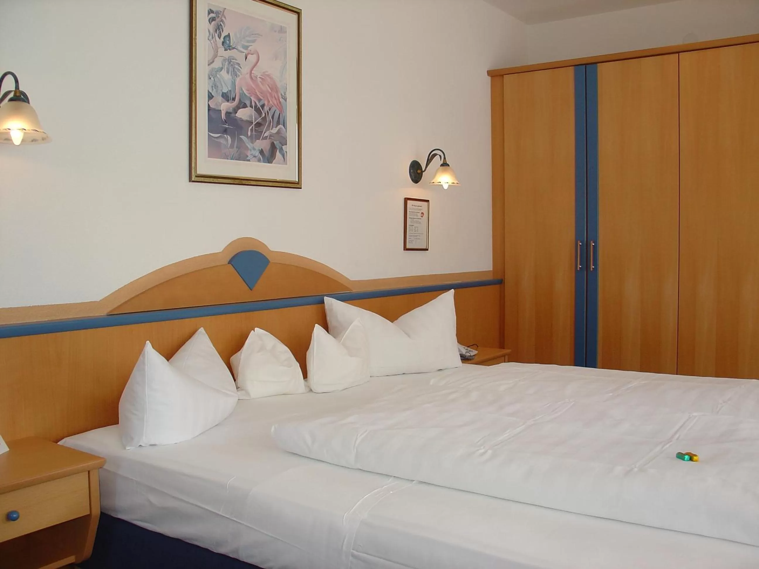 Economy Double or Twin Room in Alpenhotel Stefanie