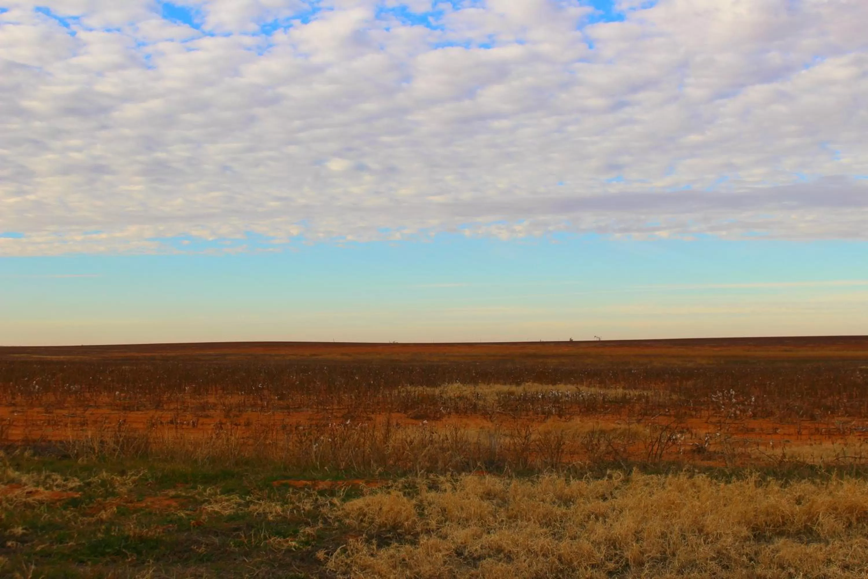 Natural landscape in Southern Inn & Suites Lamesa
