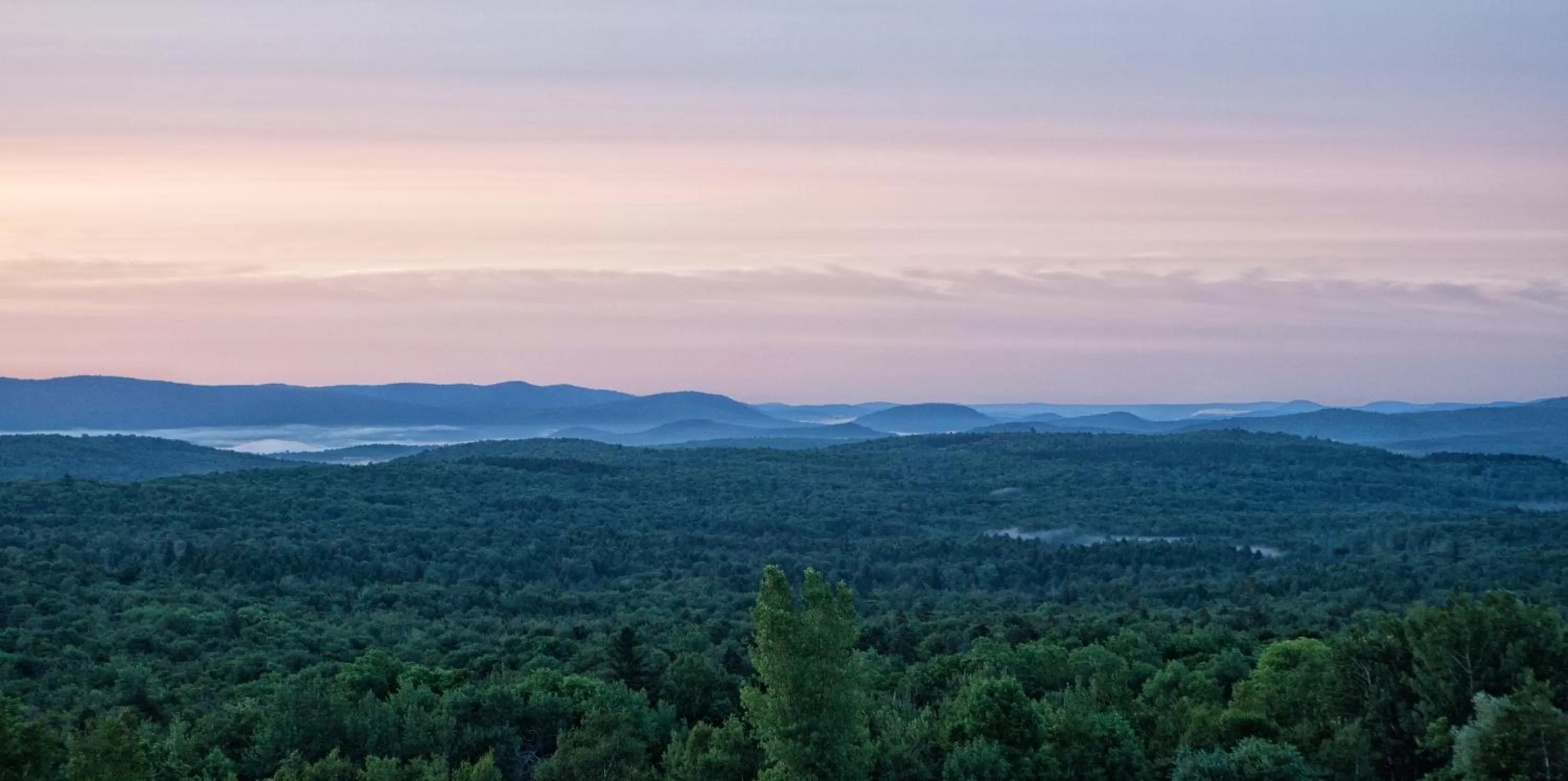 View (from property/room) in Lodge at Bromley