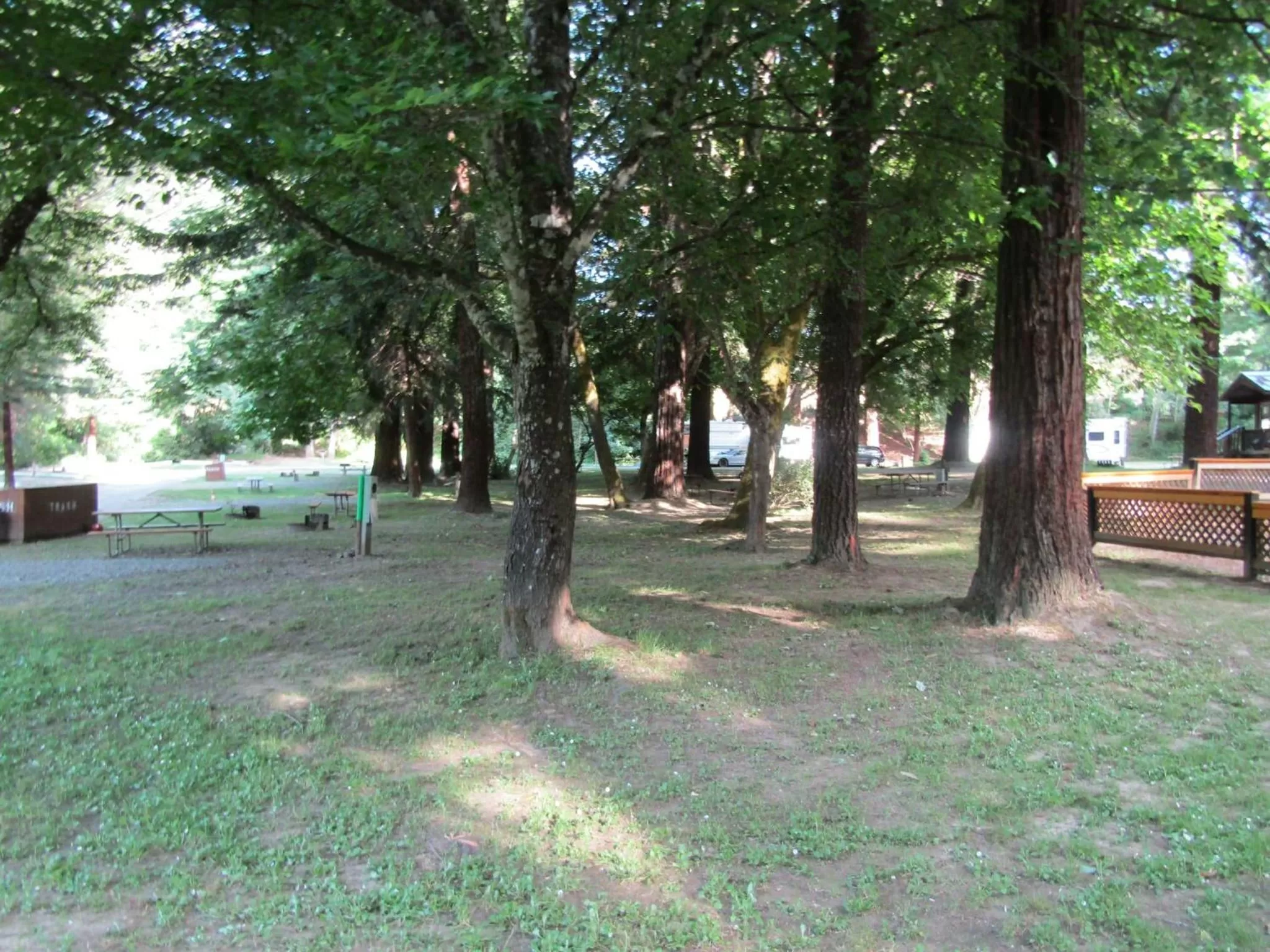 View (from property/room) in Dean Creek Resort