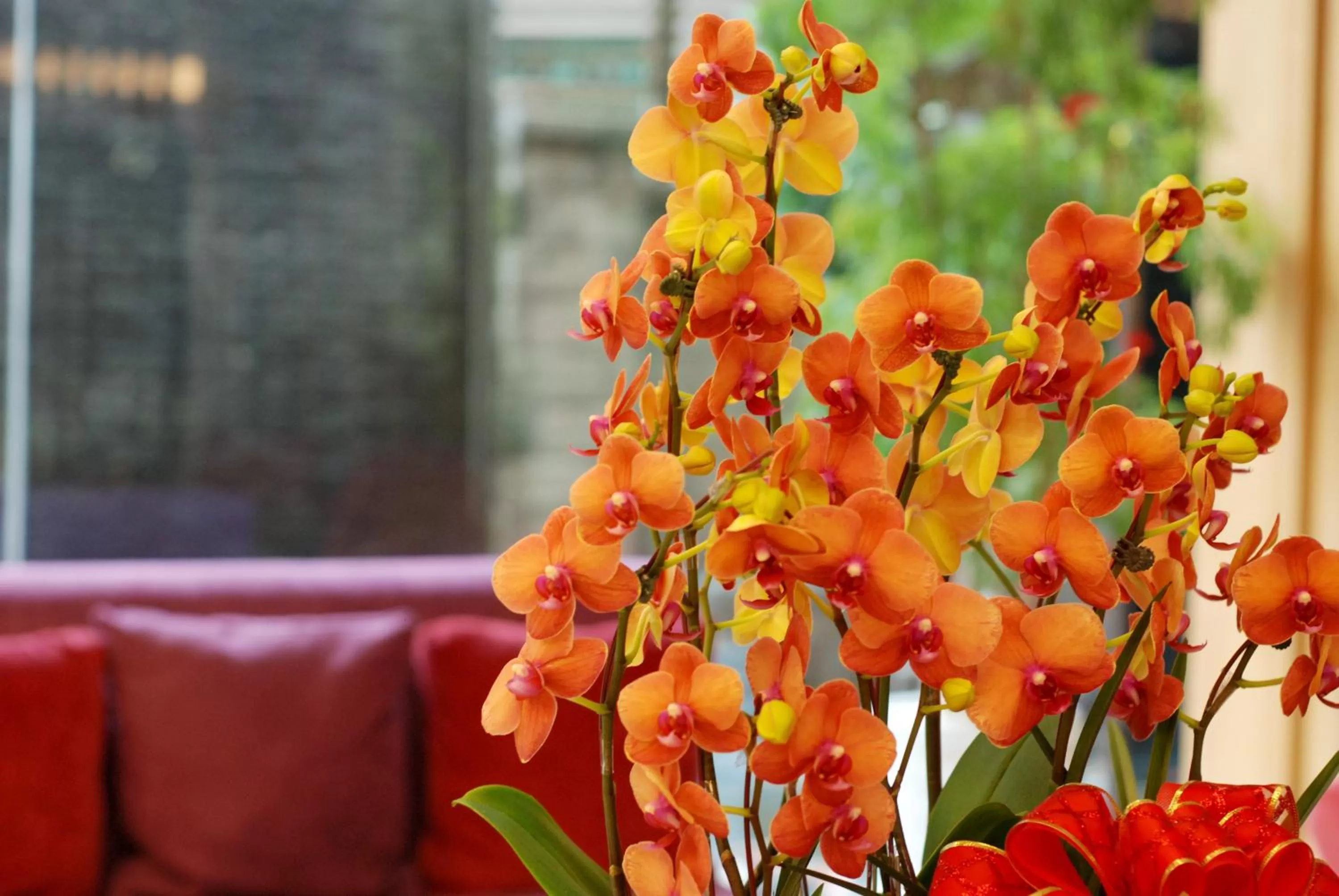 Century Hotel Taoyuan