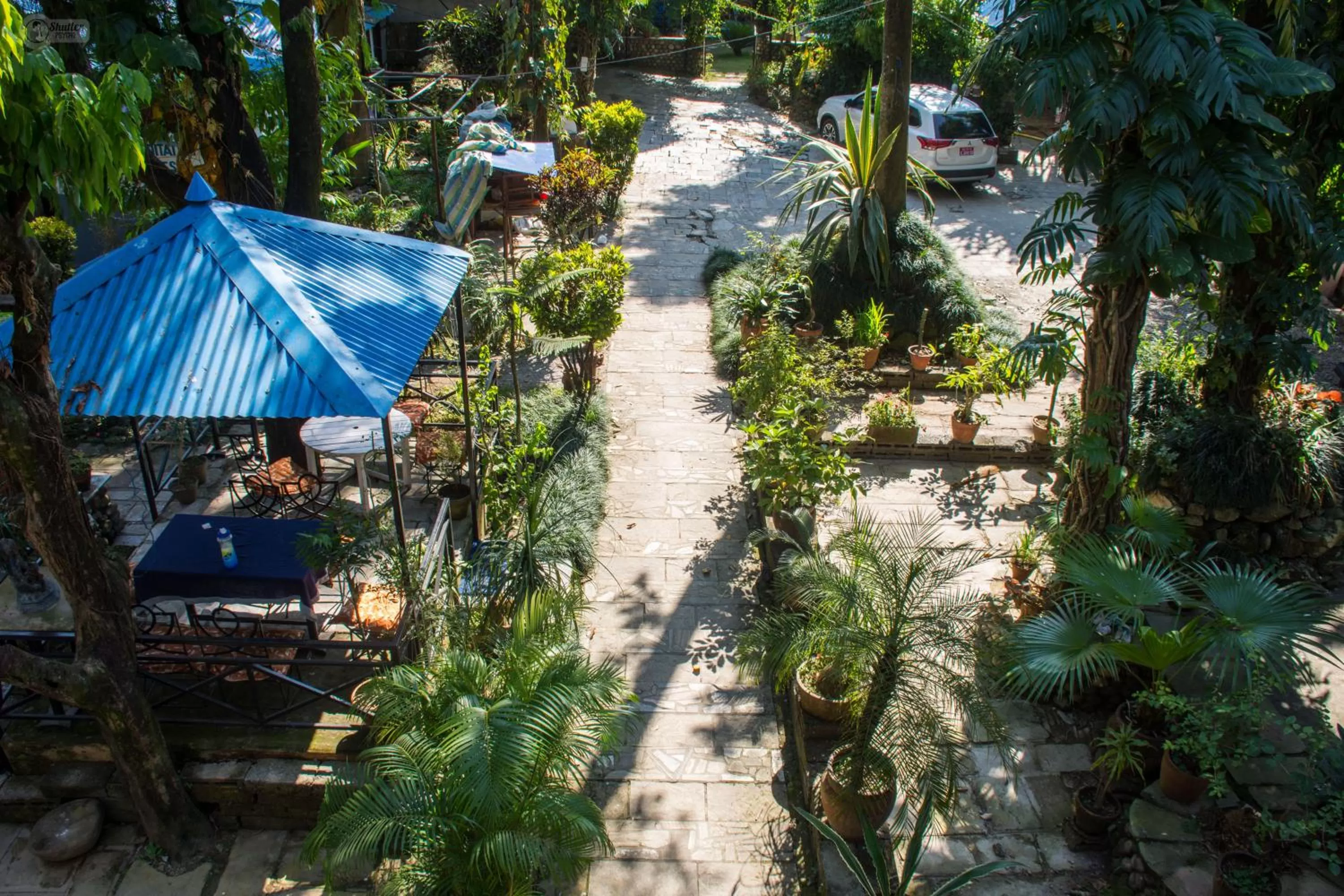 Garden in Yeti Guest House