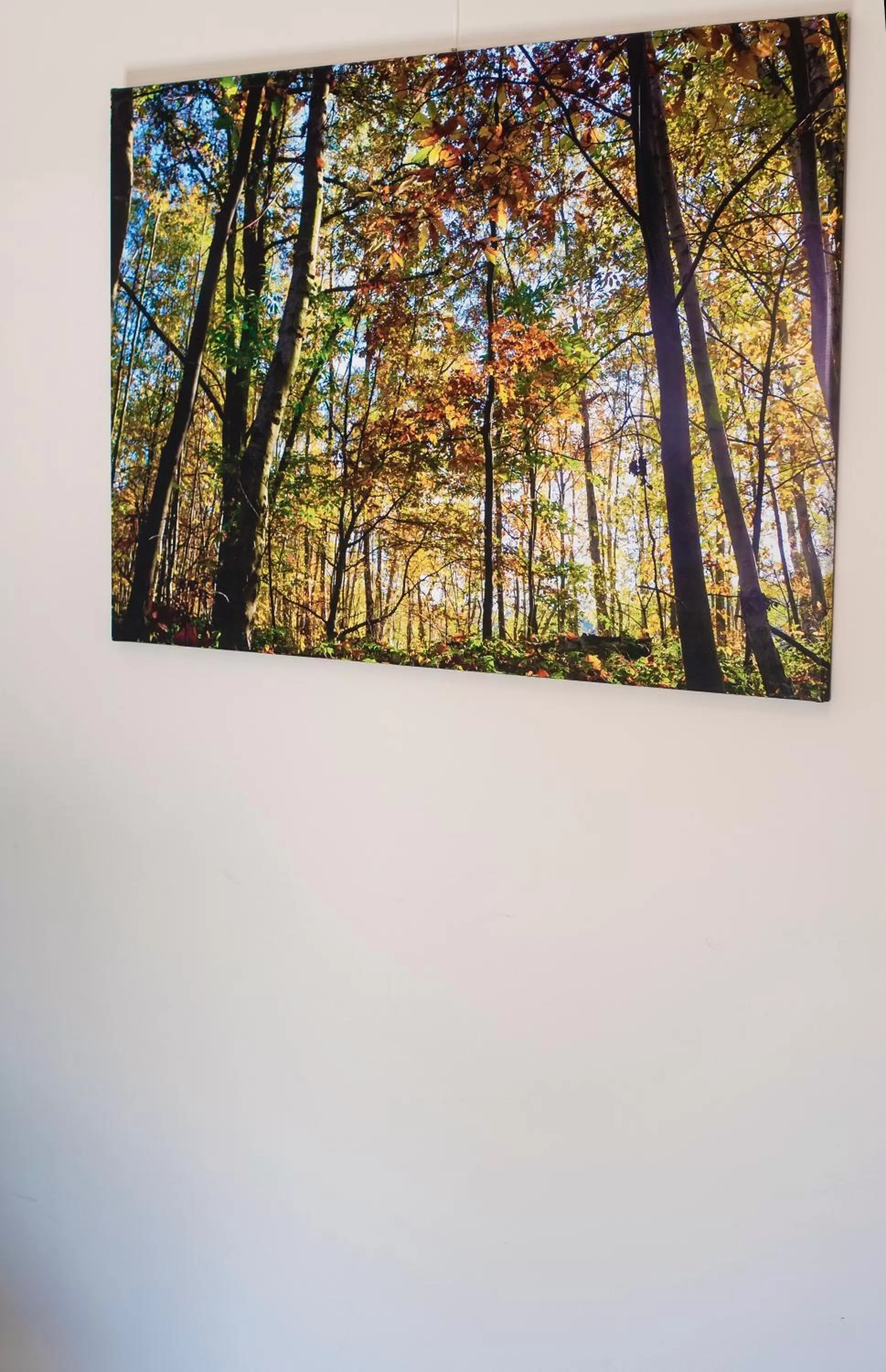 Decorative detail in Aquarand