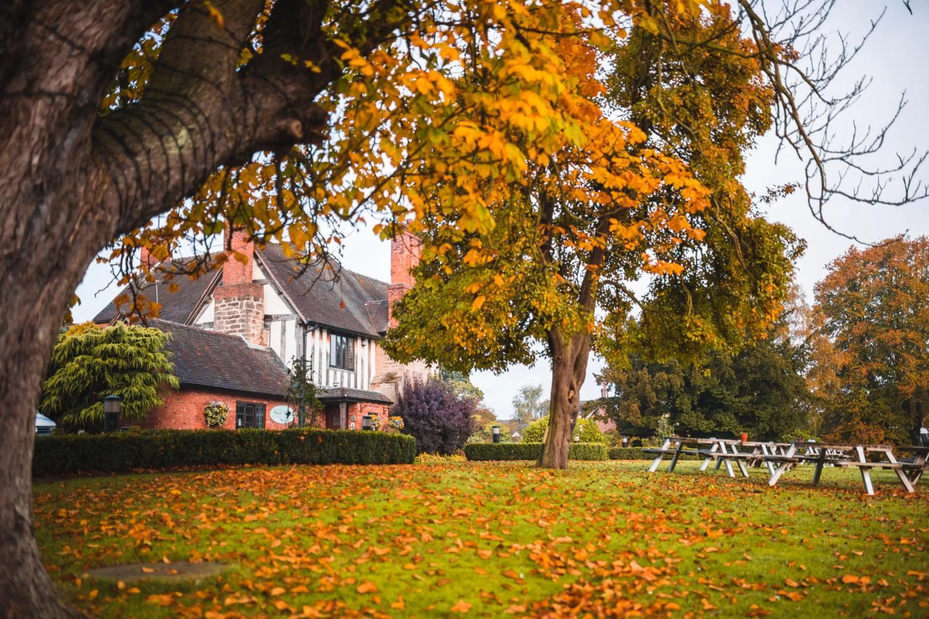 Property building in The Moat House