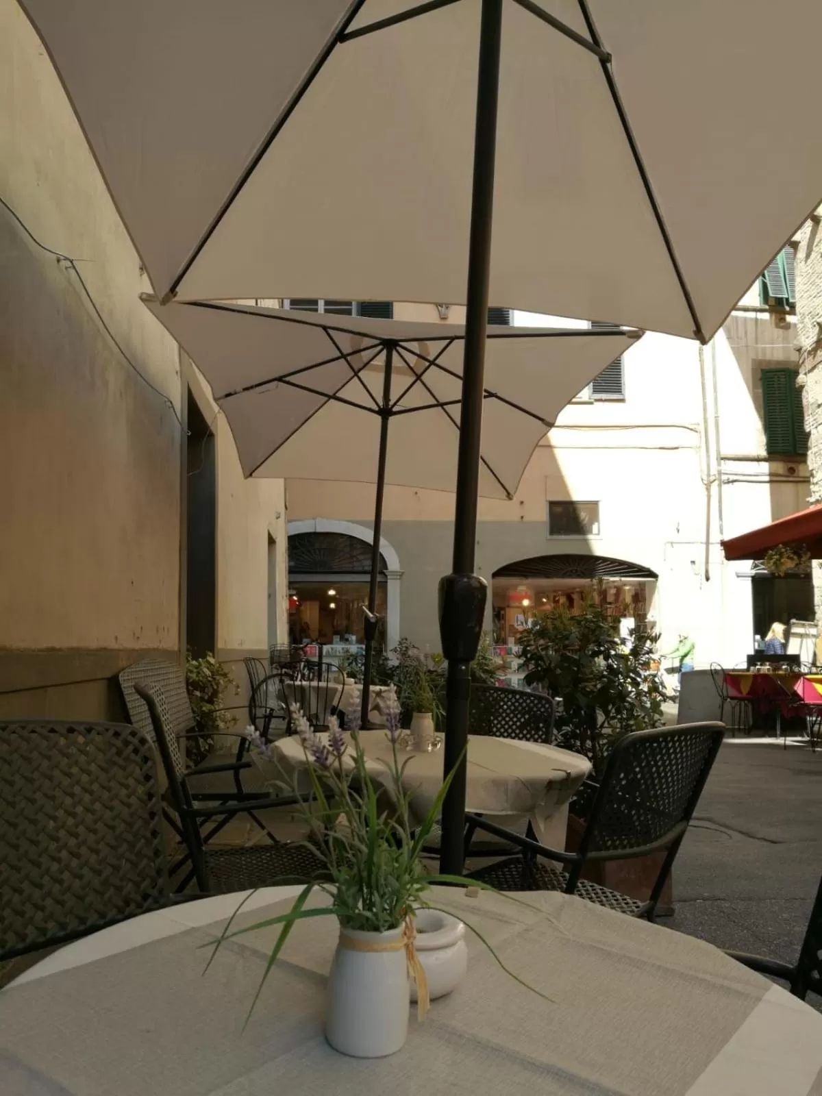 Garden in Hotel La Luna