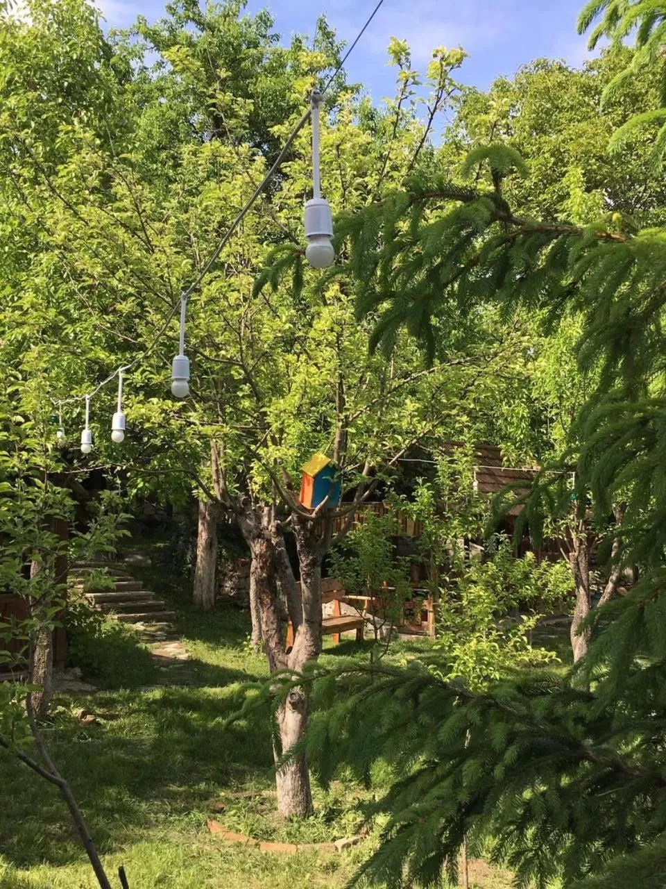 Activities in Dil Hill by Sam