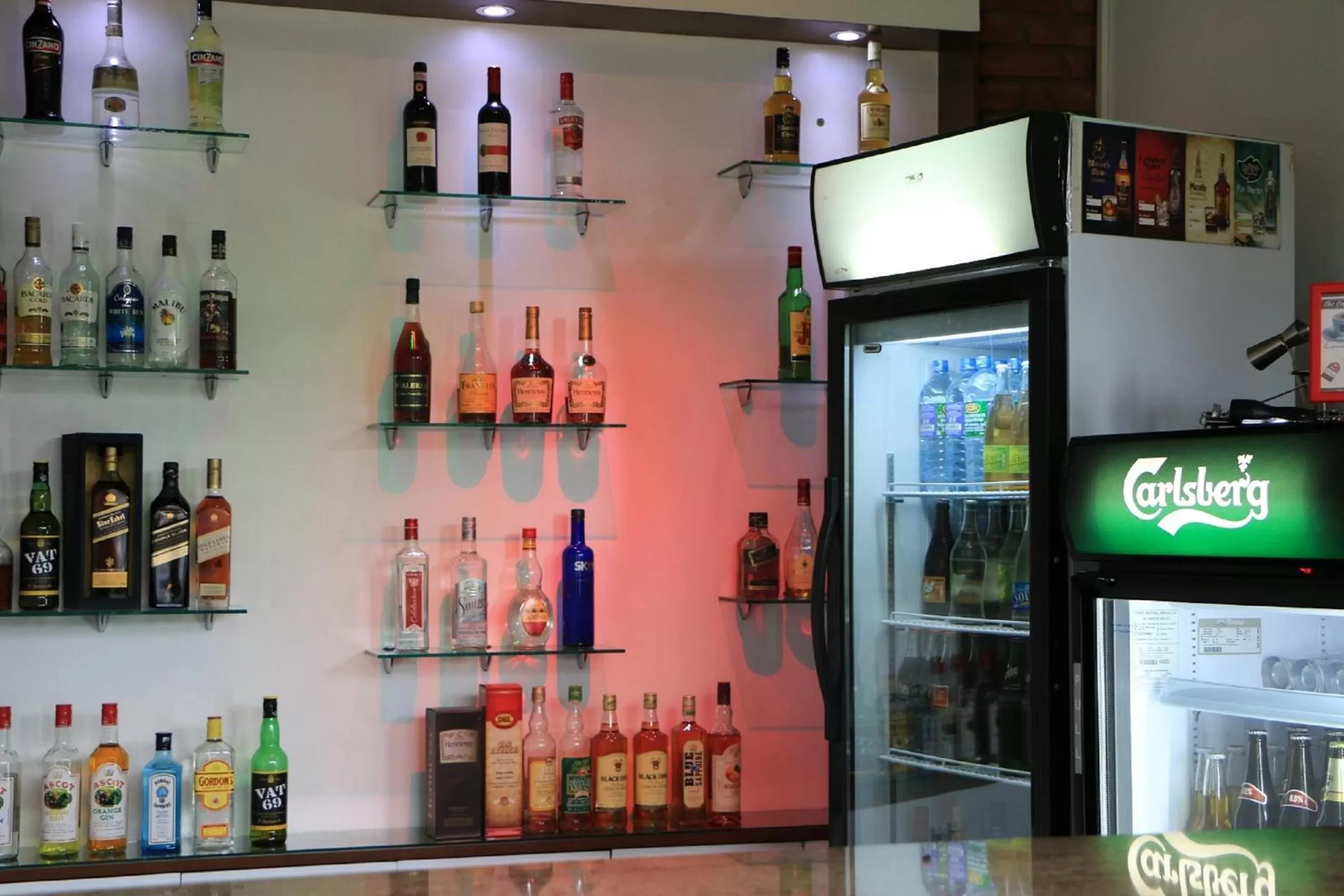 Lounge or bar in Gamodh Citadel Resort