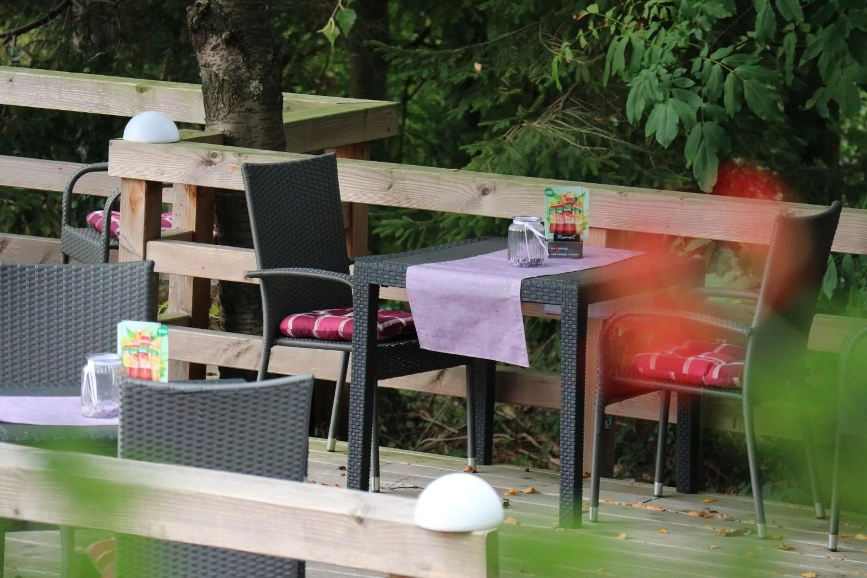 Balcony/Terrace in Schwarzwaldhotel Stollen
