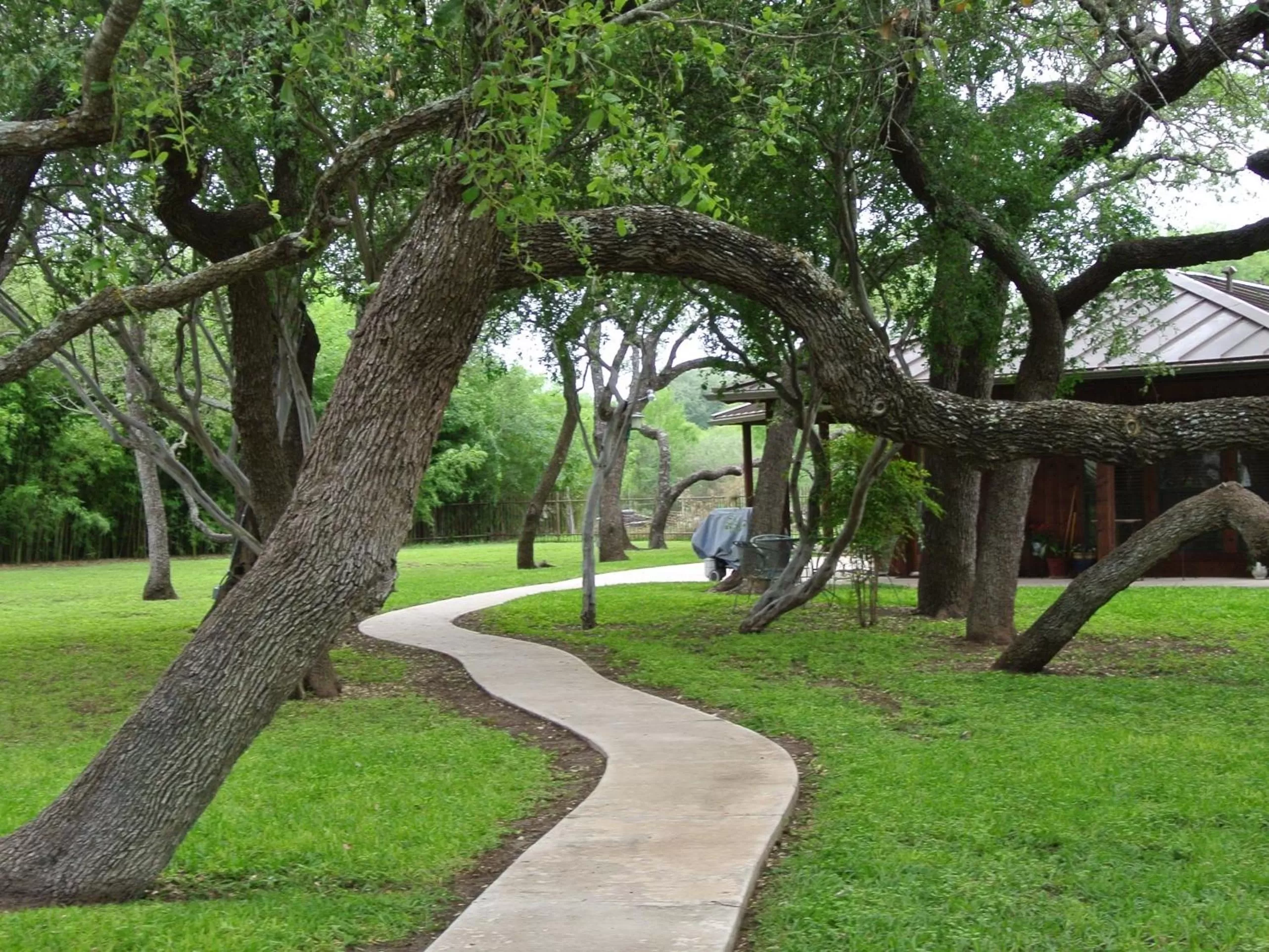 View (from property/room) in Live Oaks Bed and Breakfast