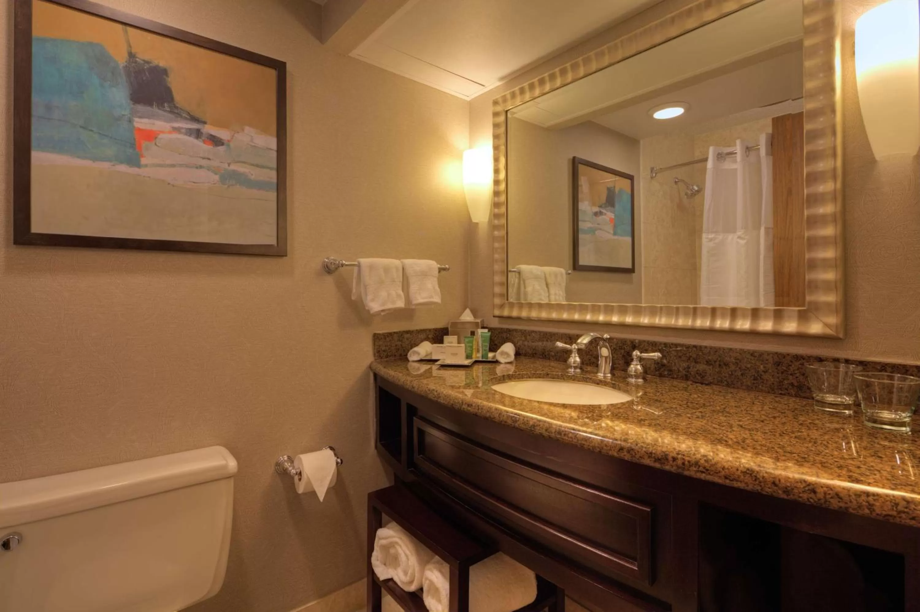 Bathroom in Hilton Houston Westchase