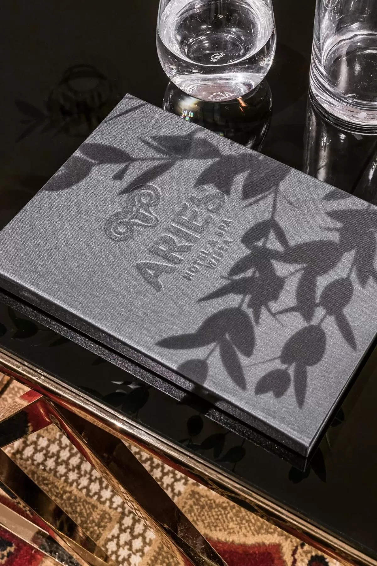 Property logo or sign in Aries Hotel & SPA Wisła