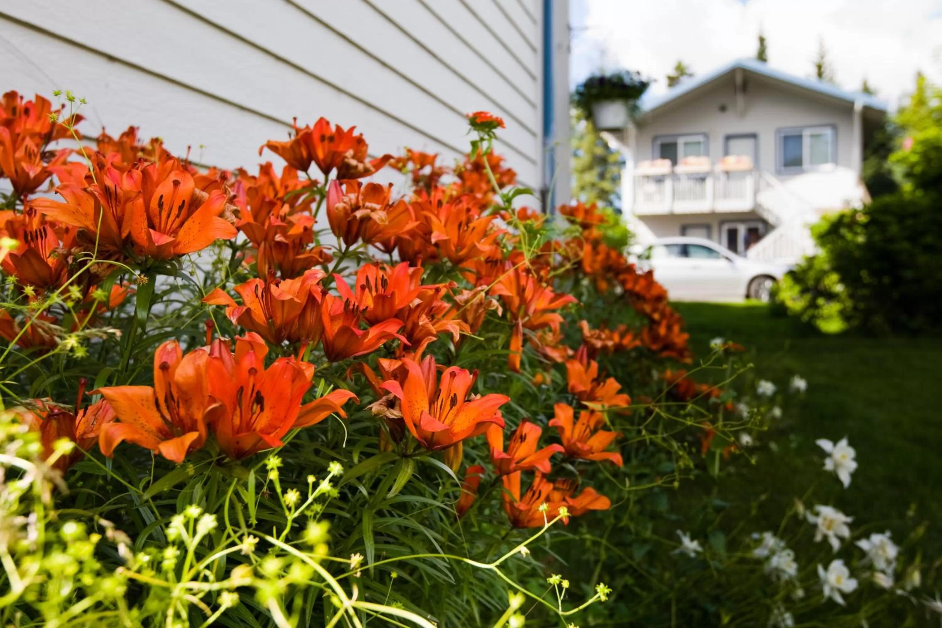 Property Building in Bay Avenue Inn