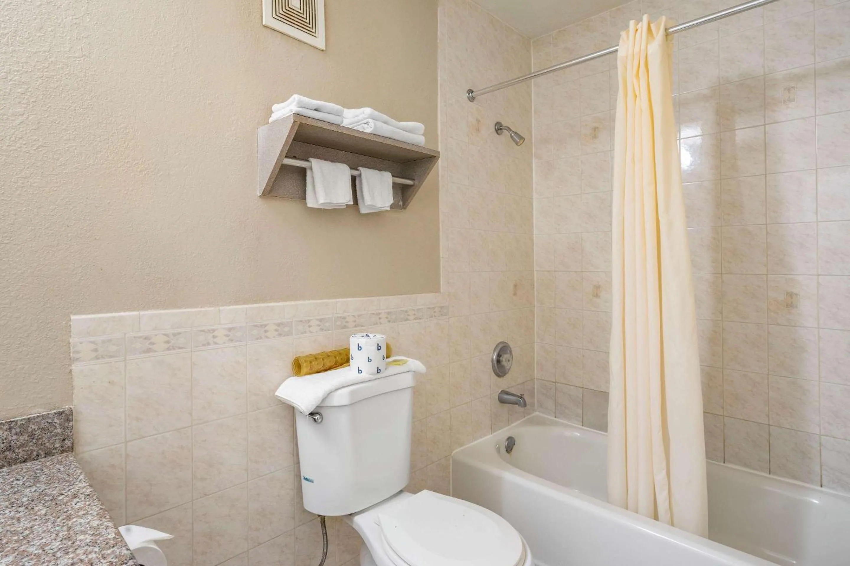 Bathroom in Rodeway Inn Clearwater-Largo