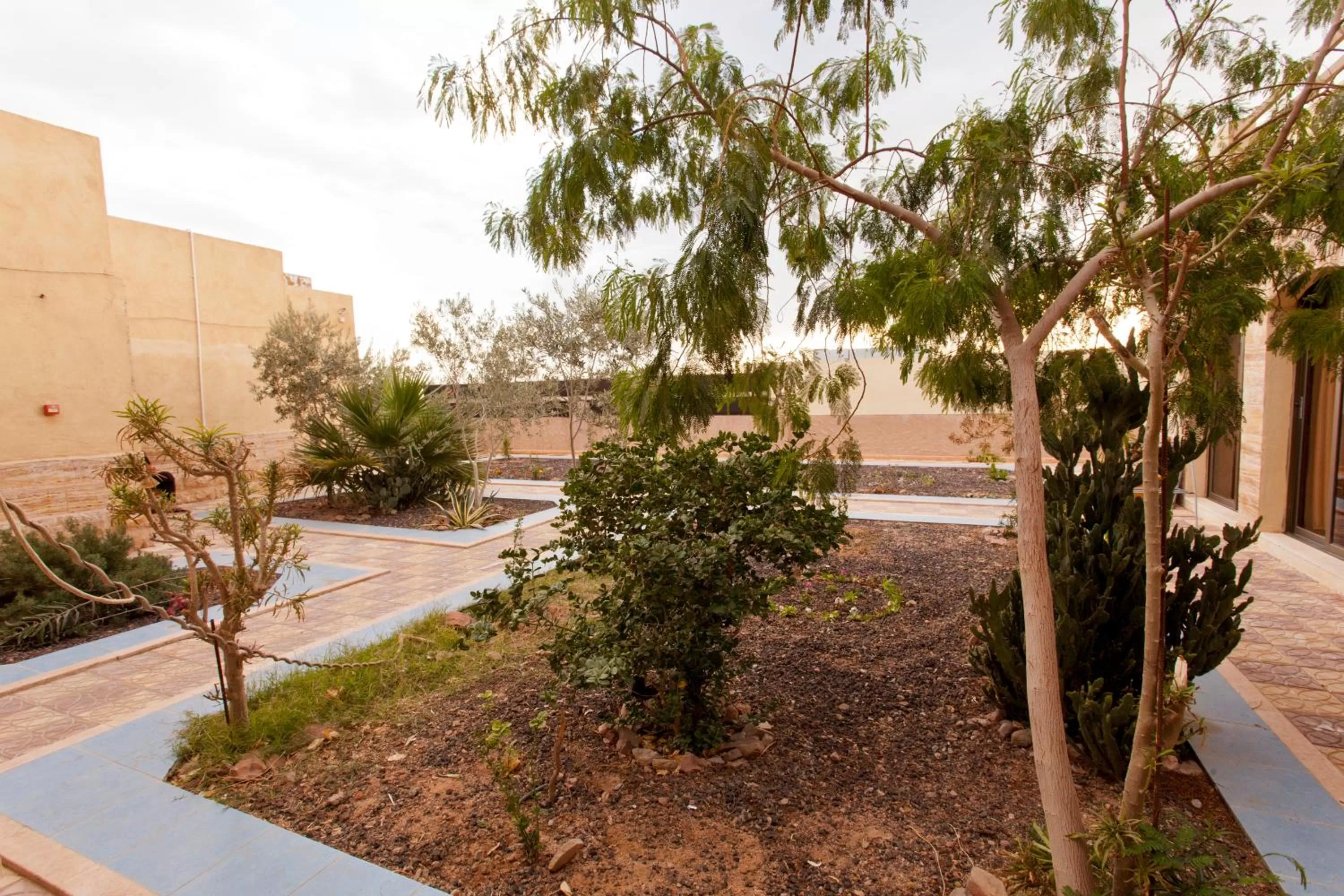 Garden in Arab Divers Dive Center and Bed & Breakfast