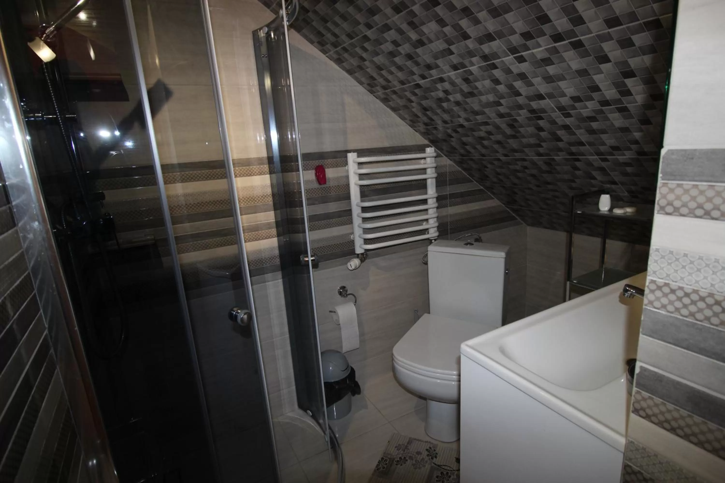 Bathroom in DW U Wajdy