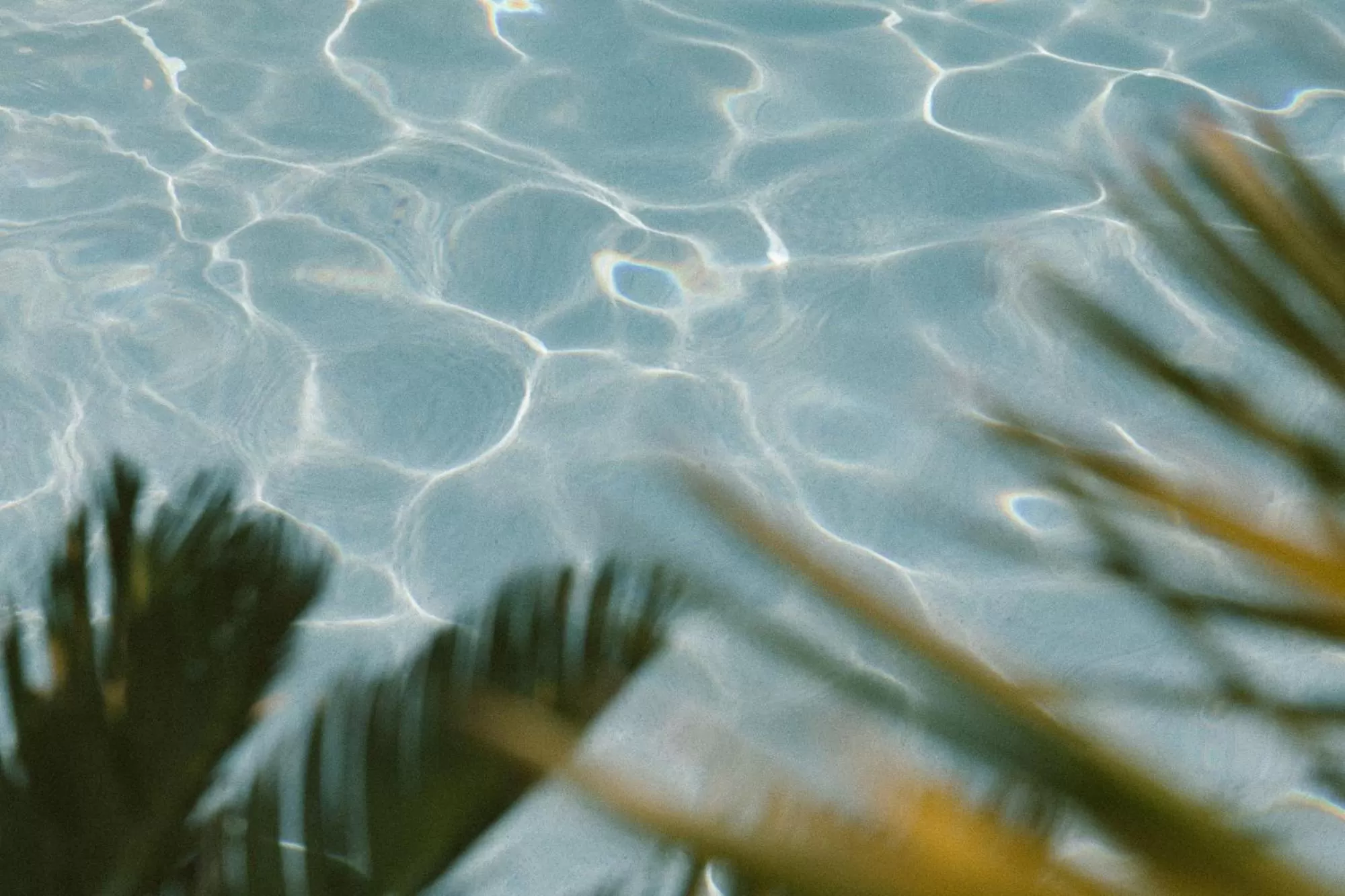 Swimming pool in Yara Hotel - Adults Only