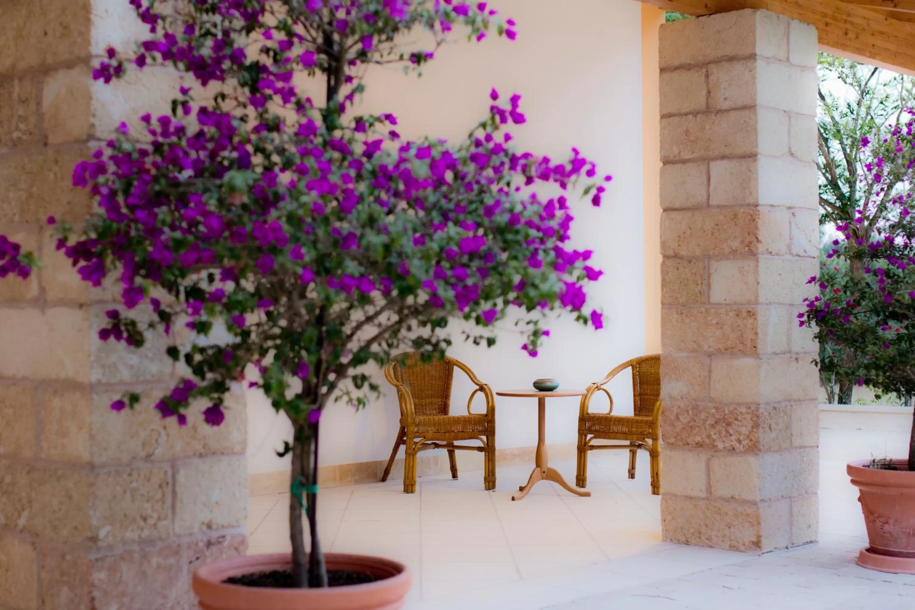 Patio in Parco Degli Aranci