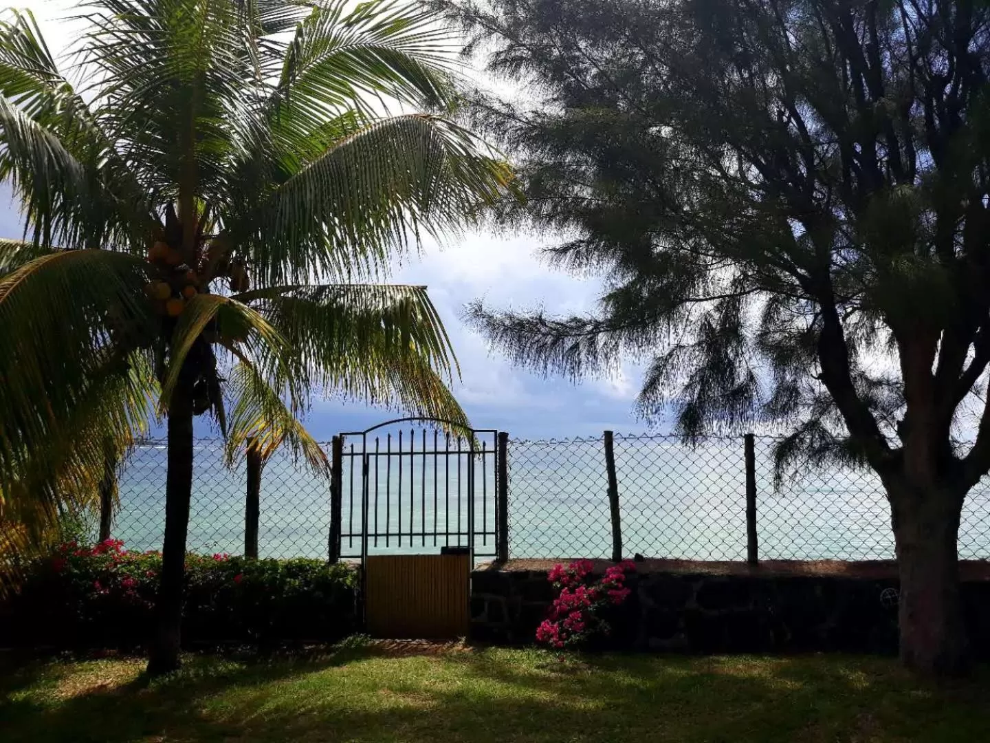 Garden in La Maison de la plage