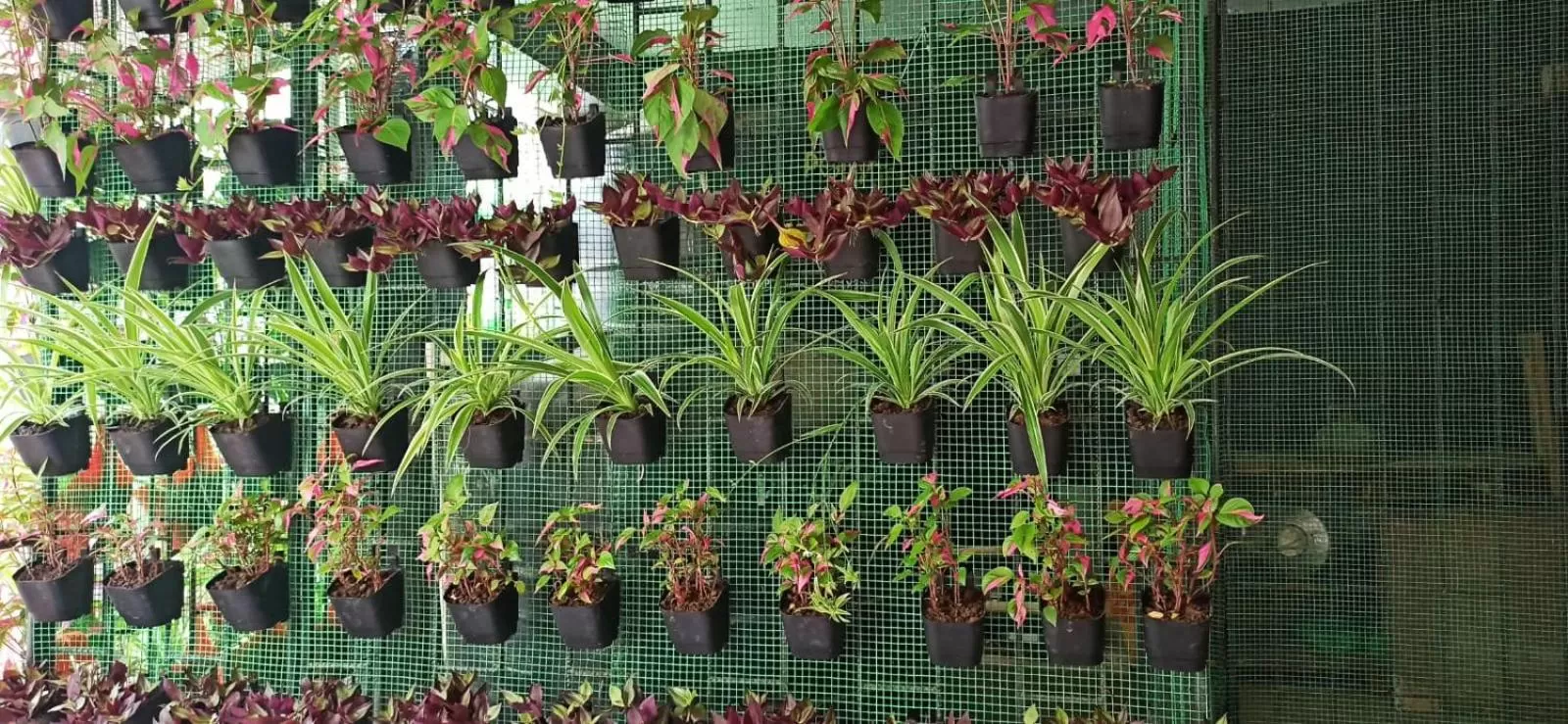 Property building in PHIBHA VILLA