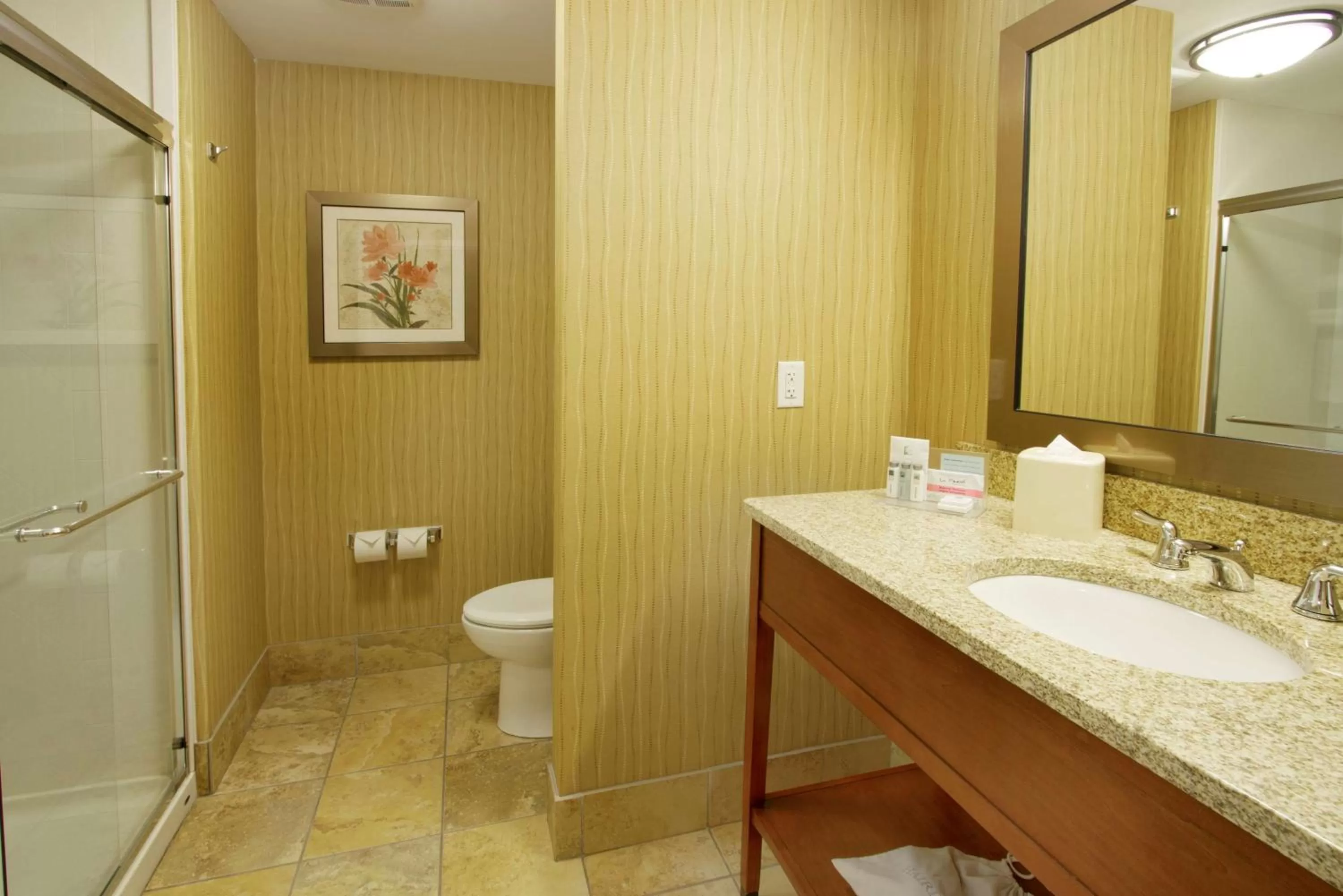 Bathroom in Hampton Inn Bangor