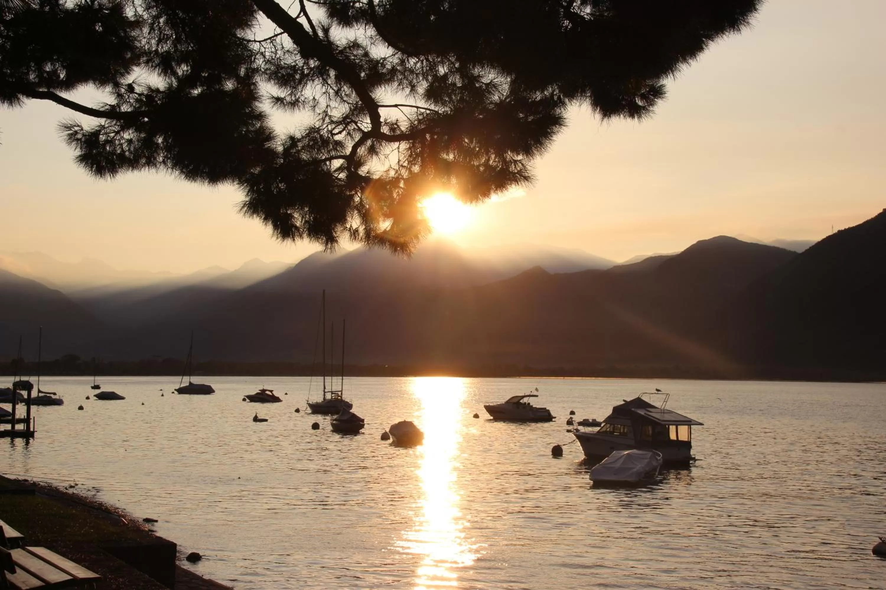 On site in Hotel Millennium