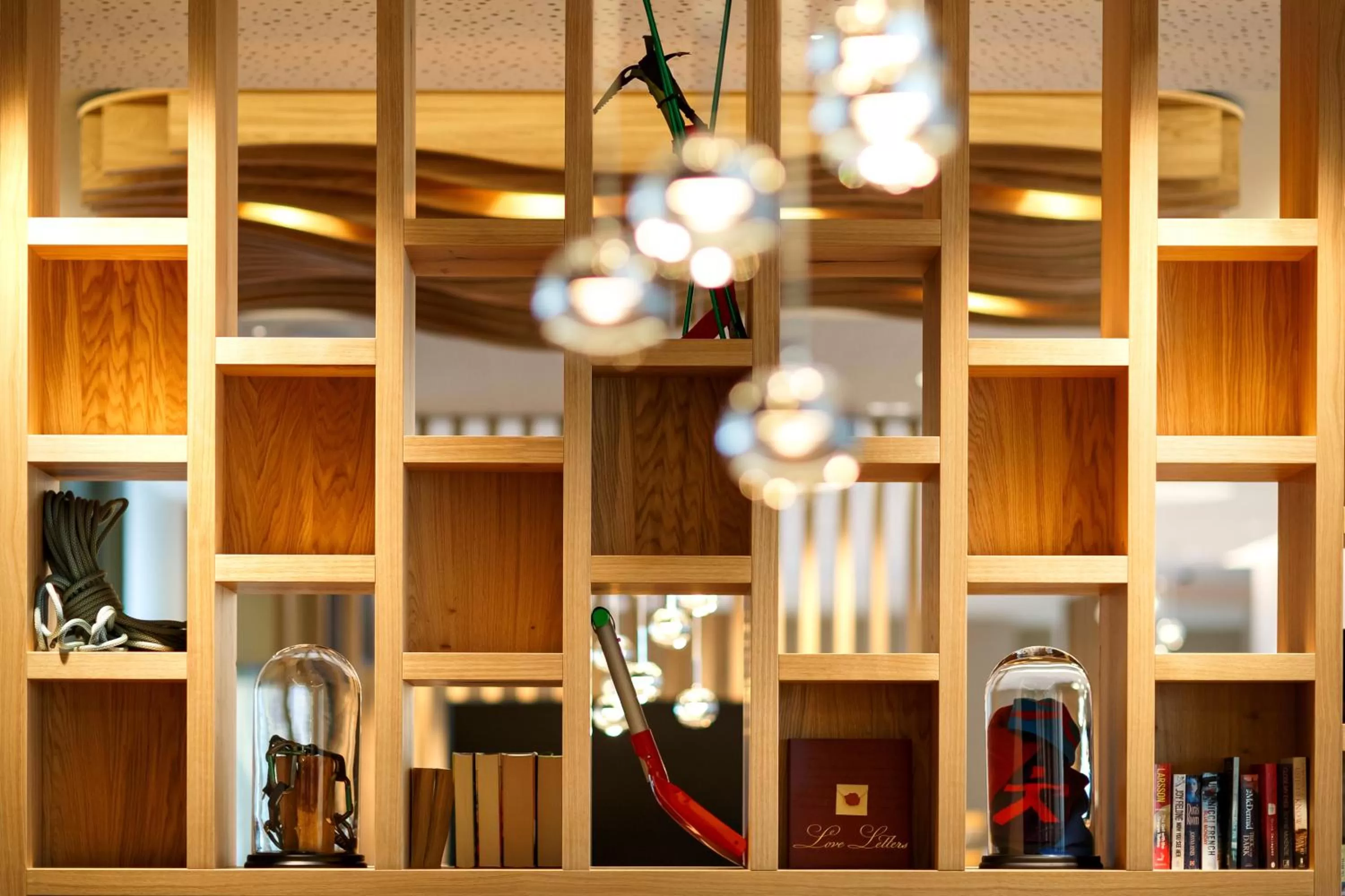 Library in Hotel Allegra Lodge