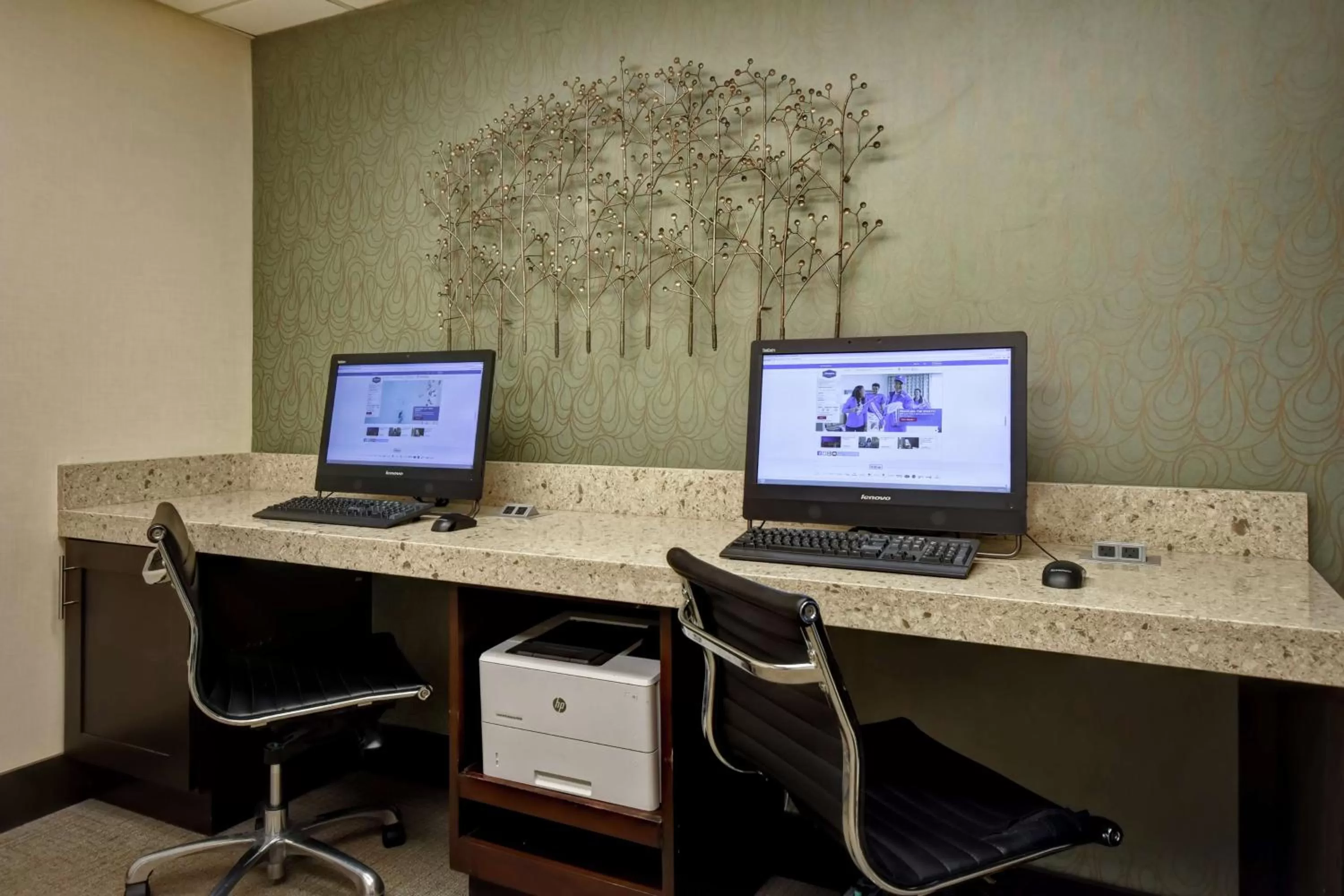 Business facilities in Hampton Inn Atlanta-Mall Of Georgia