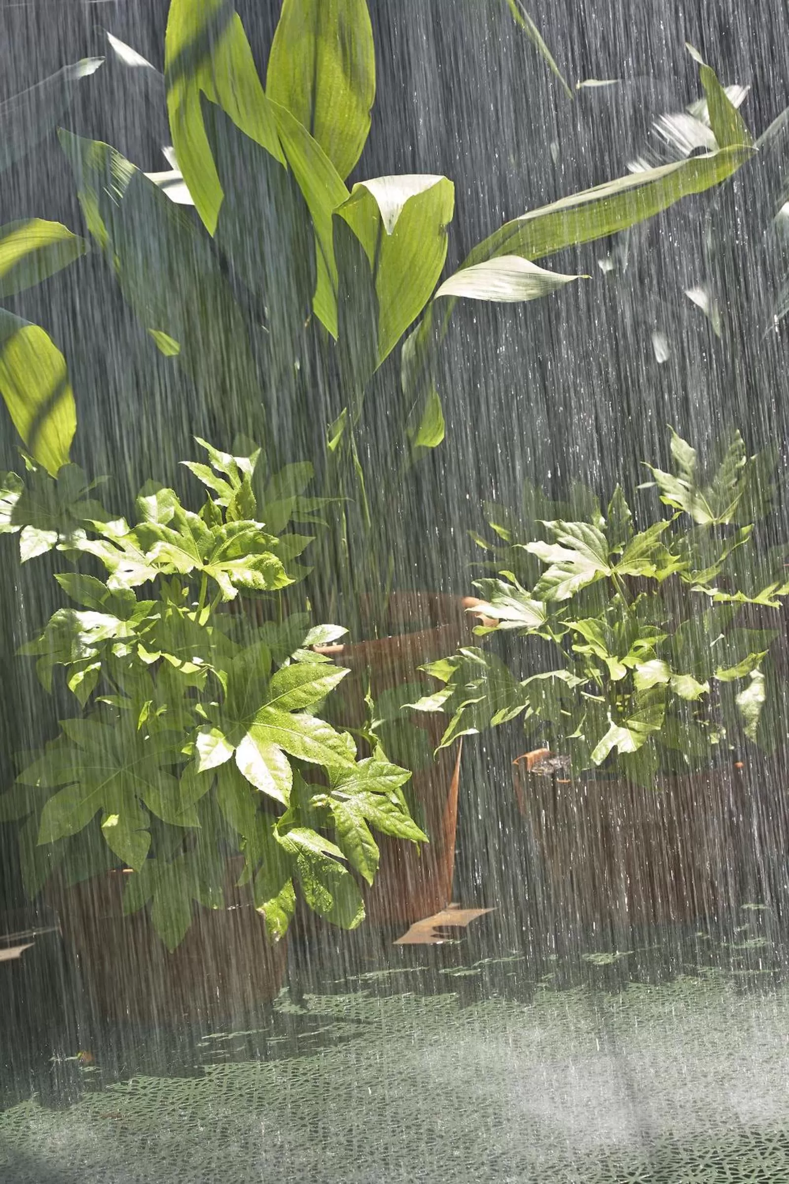 Casa Camper Barcelona