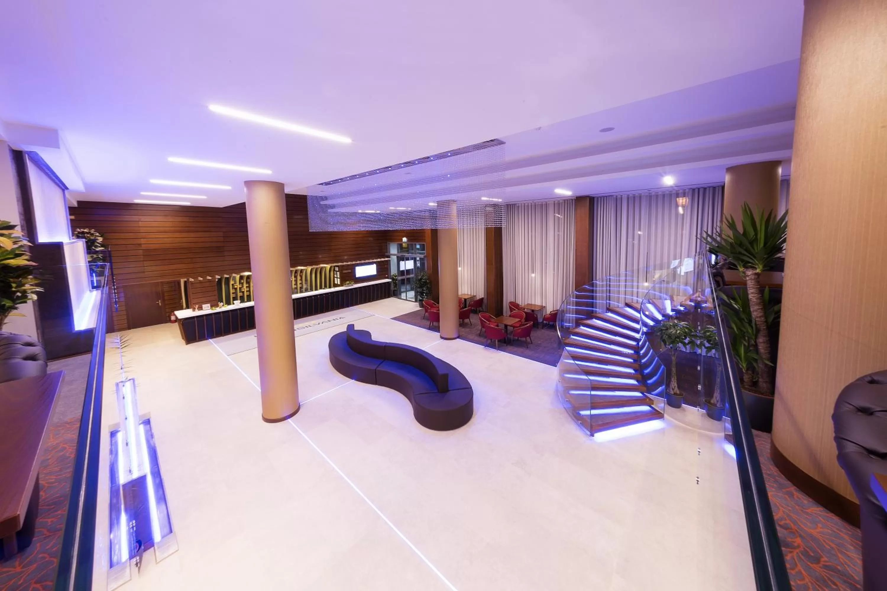 Lobby or reception in Hotel Transilvania