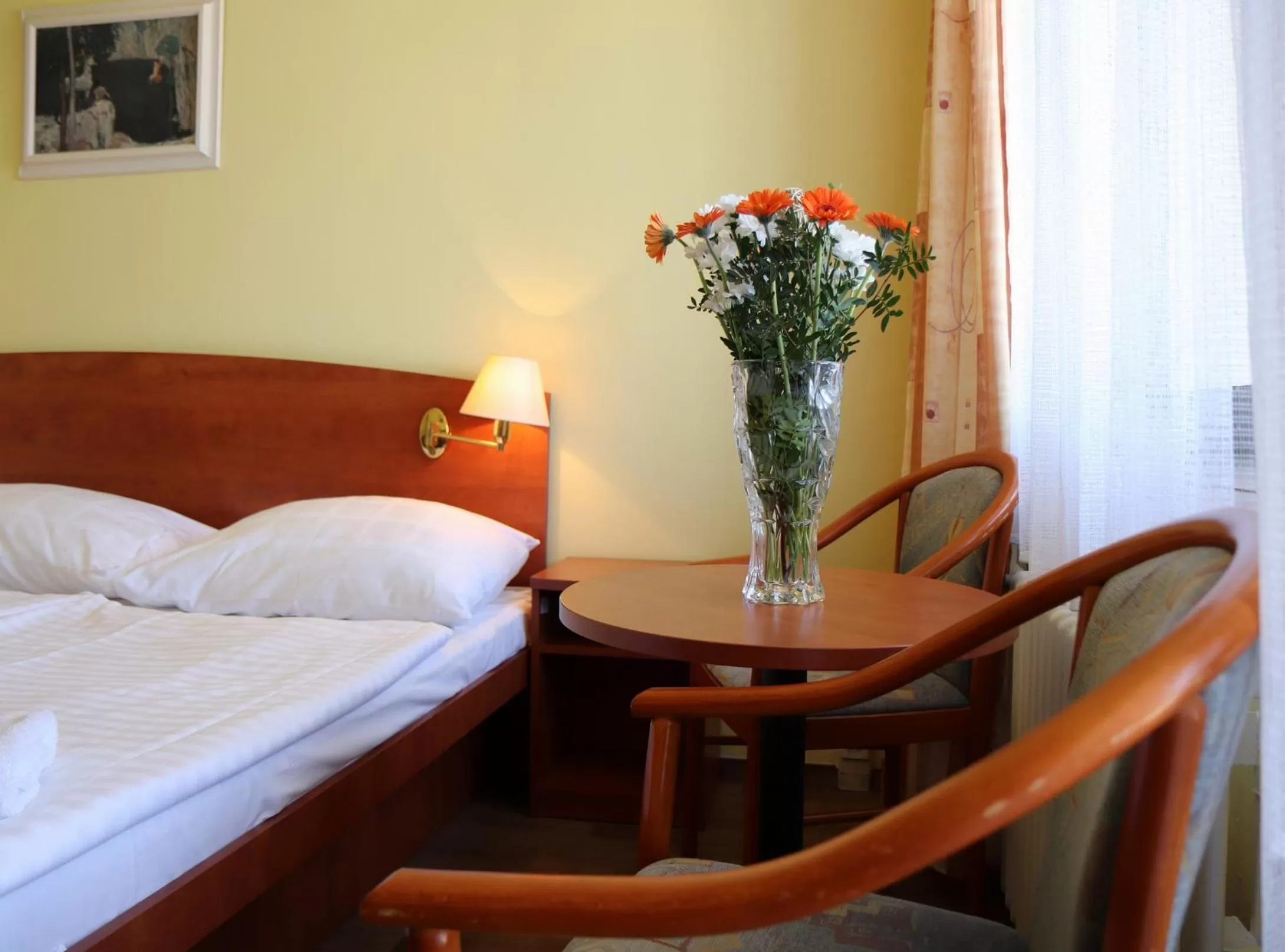 Standard Double Room in Hotel Krystal