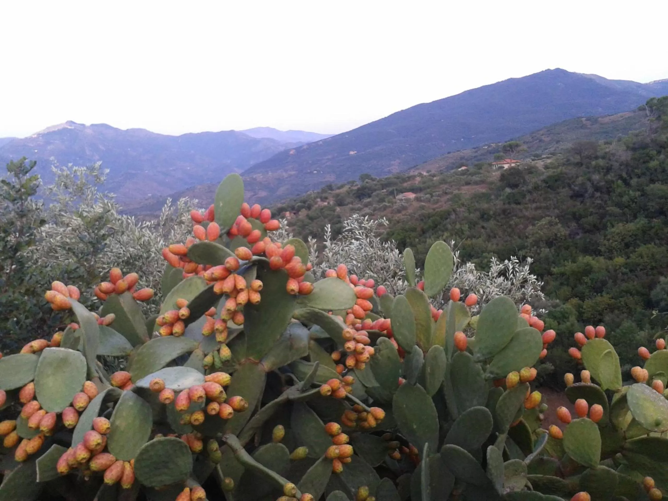 Decorative detail in Villaggio dei Balocchi