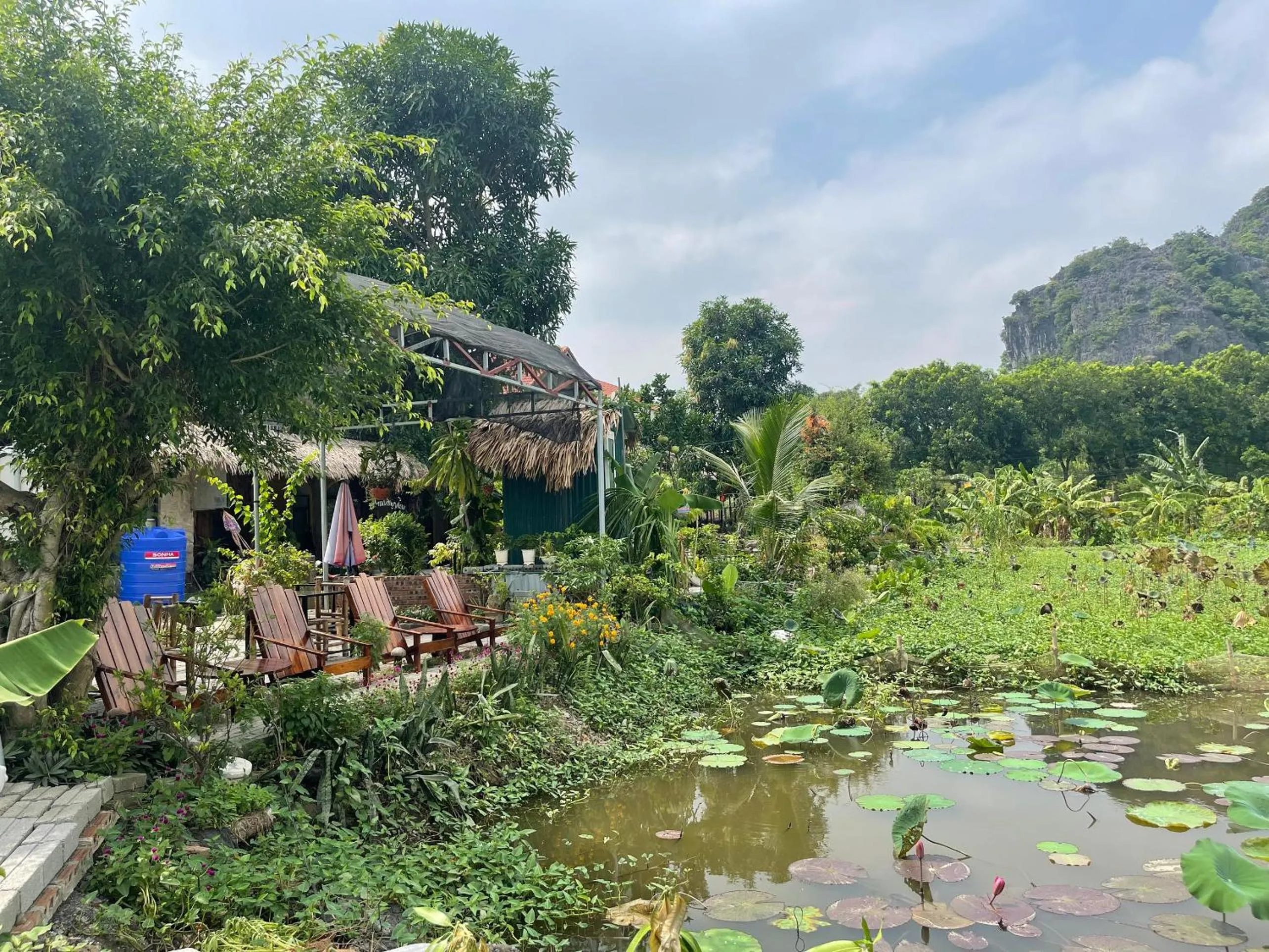 Tam Coc Mountain View Homestay